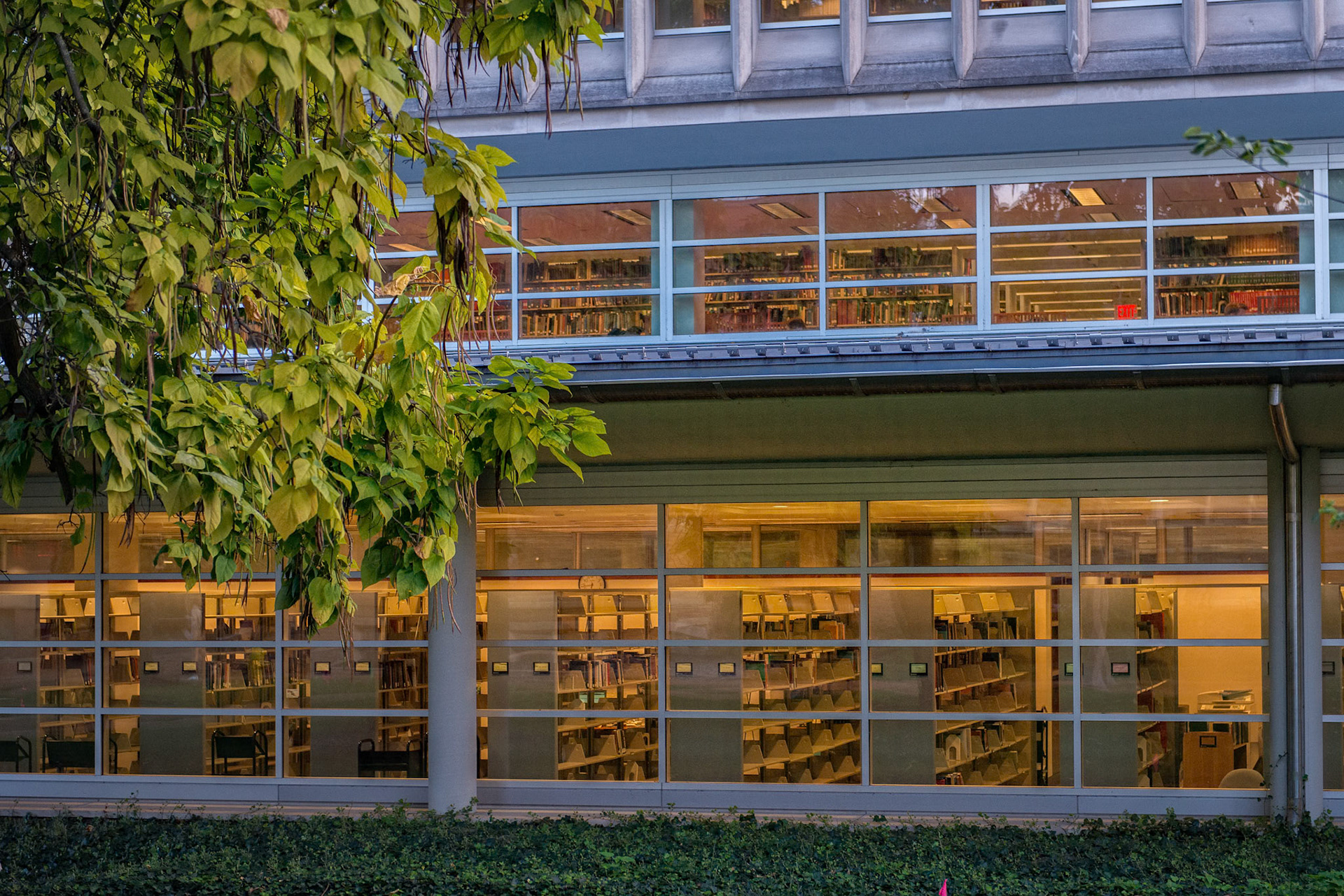 Washington University in St Louis, Olin Library