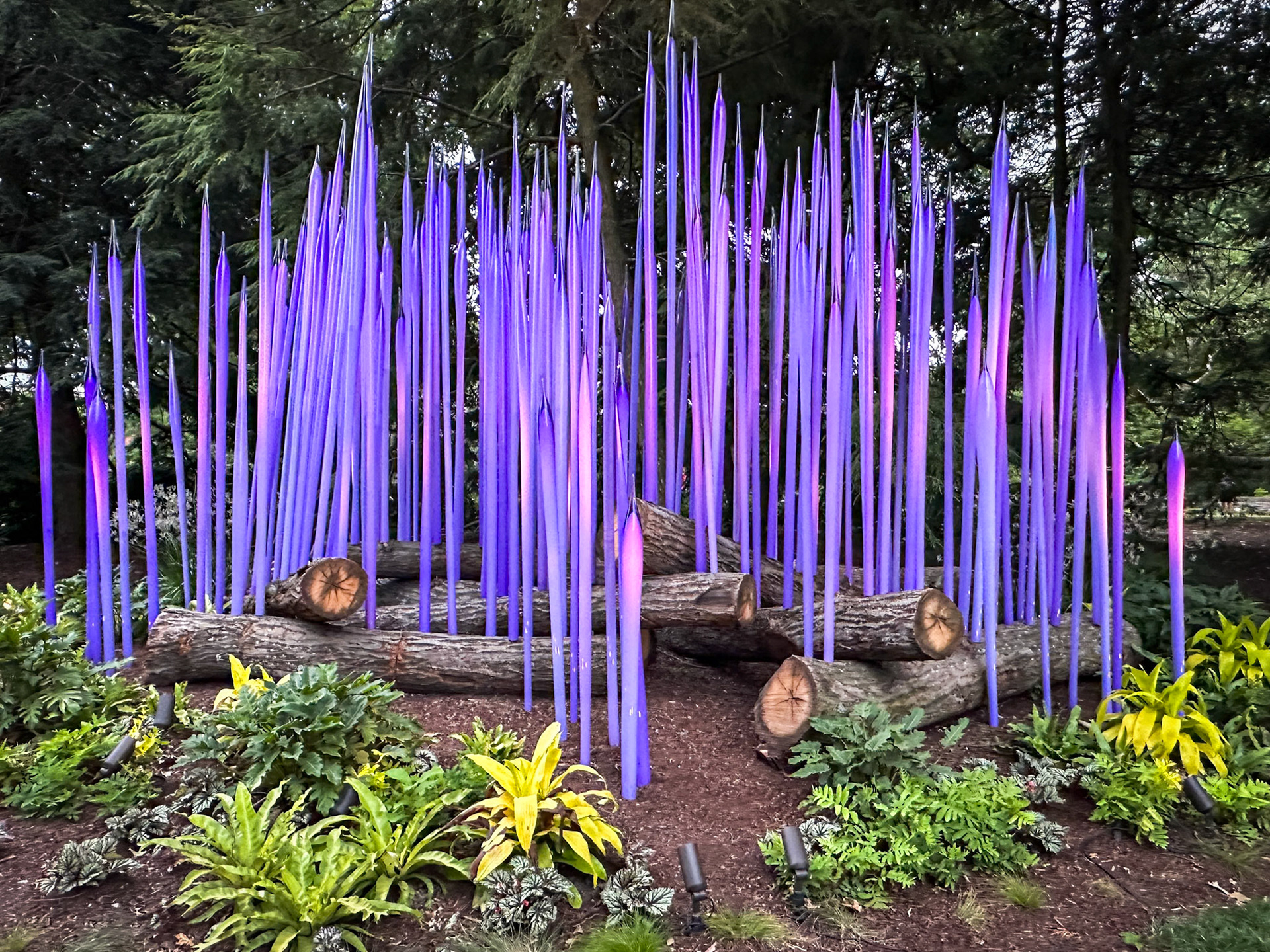 MOBOT Chihuly, 2023