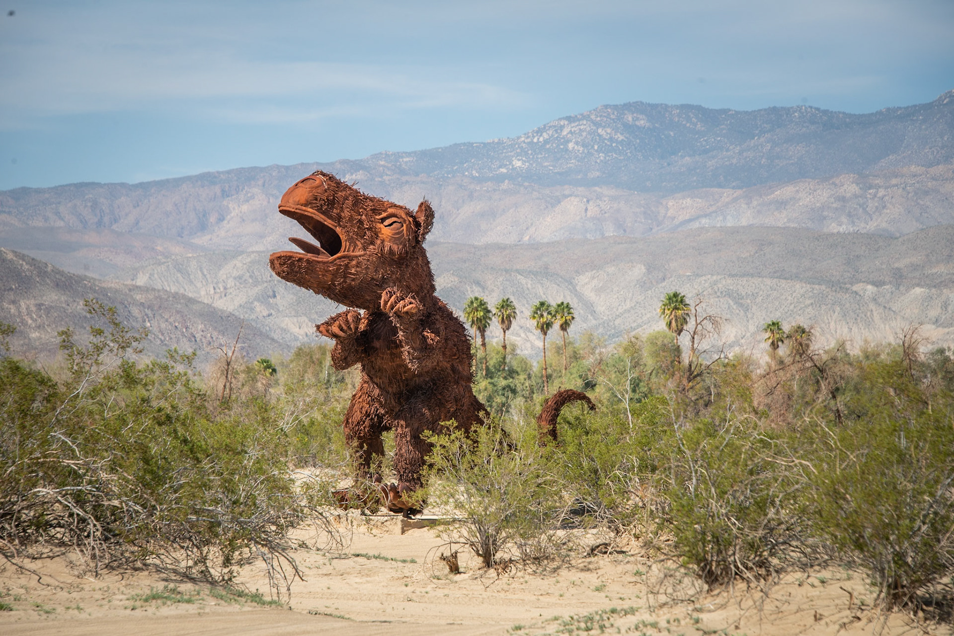 Anza-Borrego Desert State Park