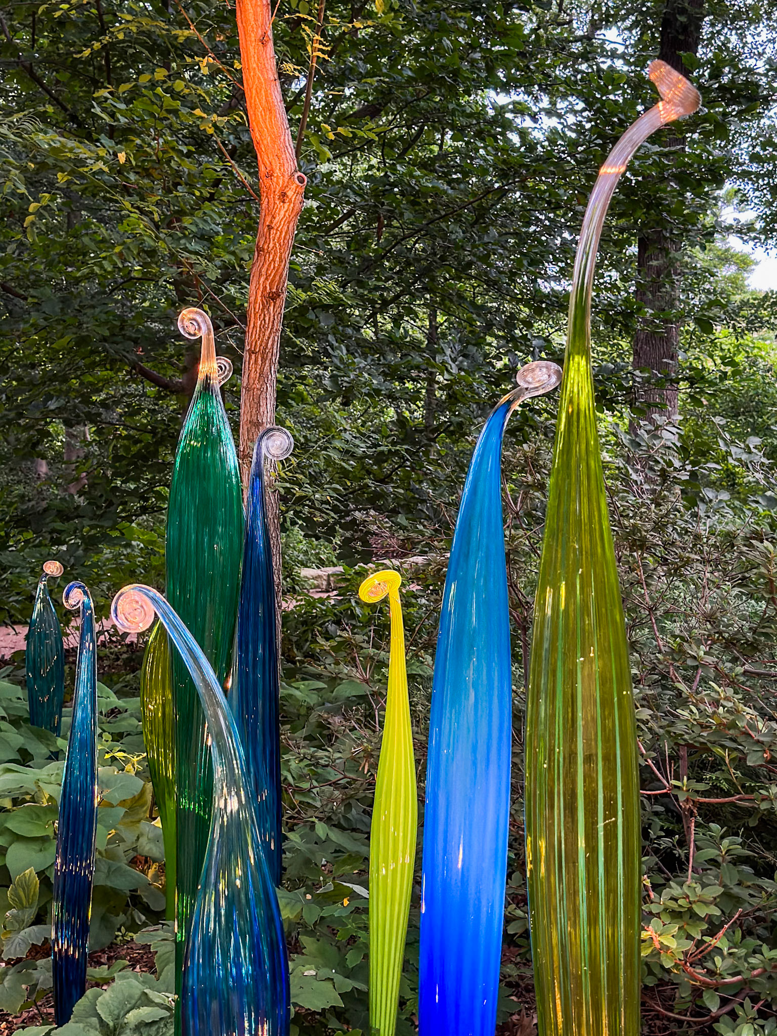 MOBOT Chihuly, 2023