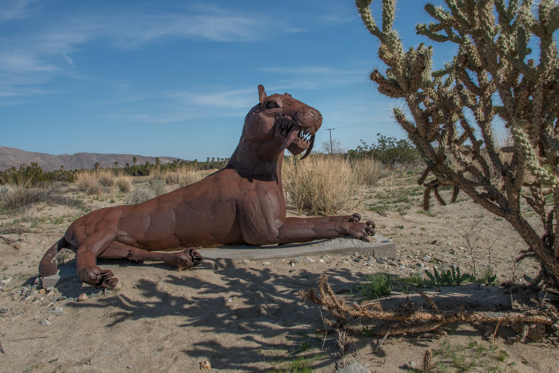 Anza-Borrego Desert State Park