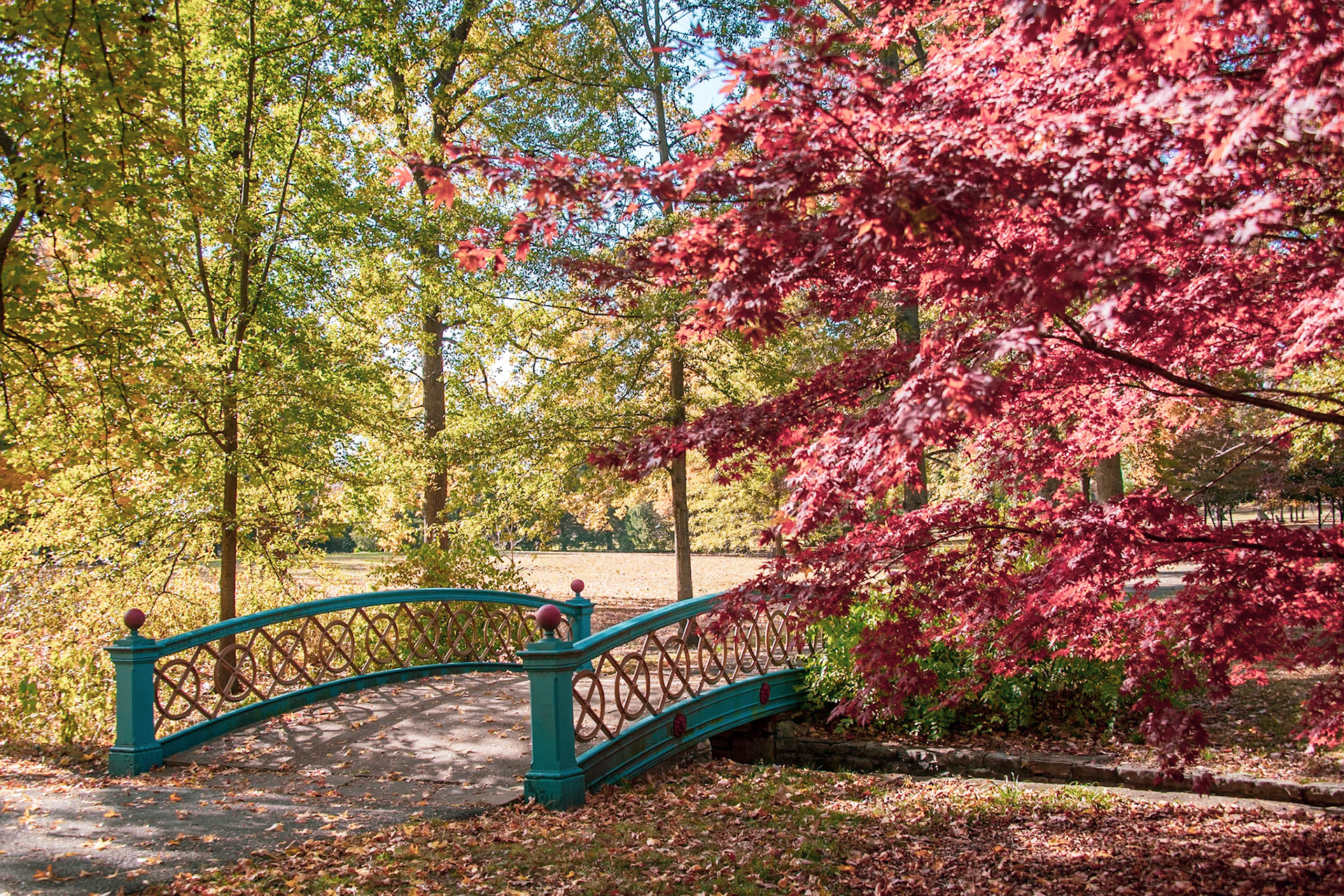 Tower Grove Park