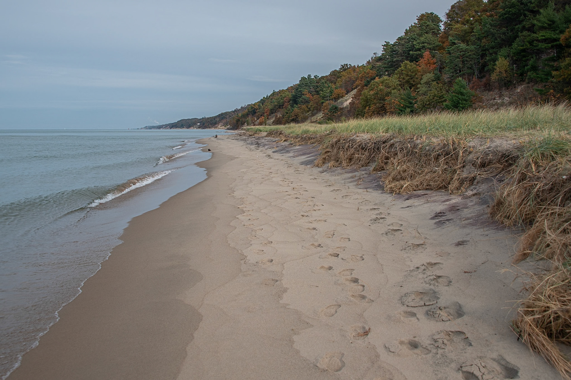Saugatuck, Michigan #1991