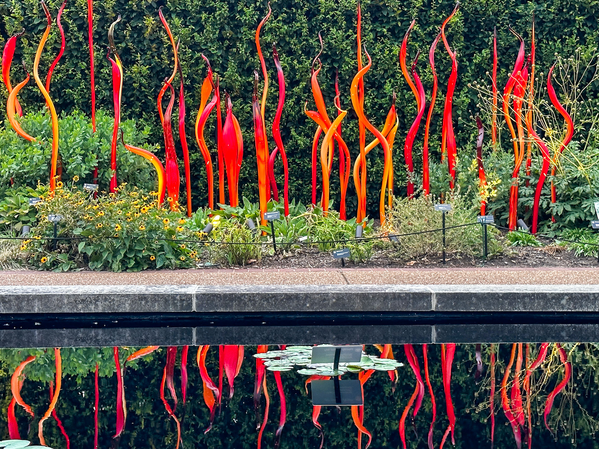 MOBOT Chihuly, 2023