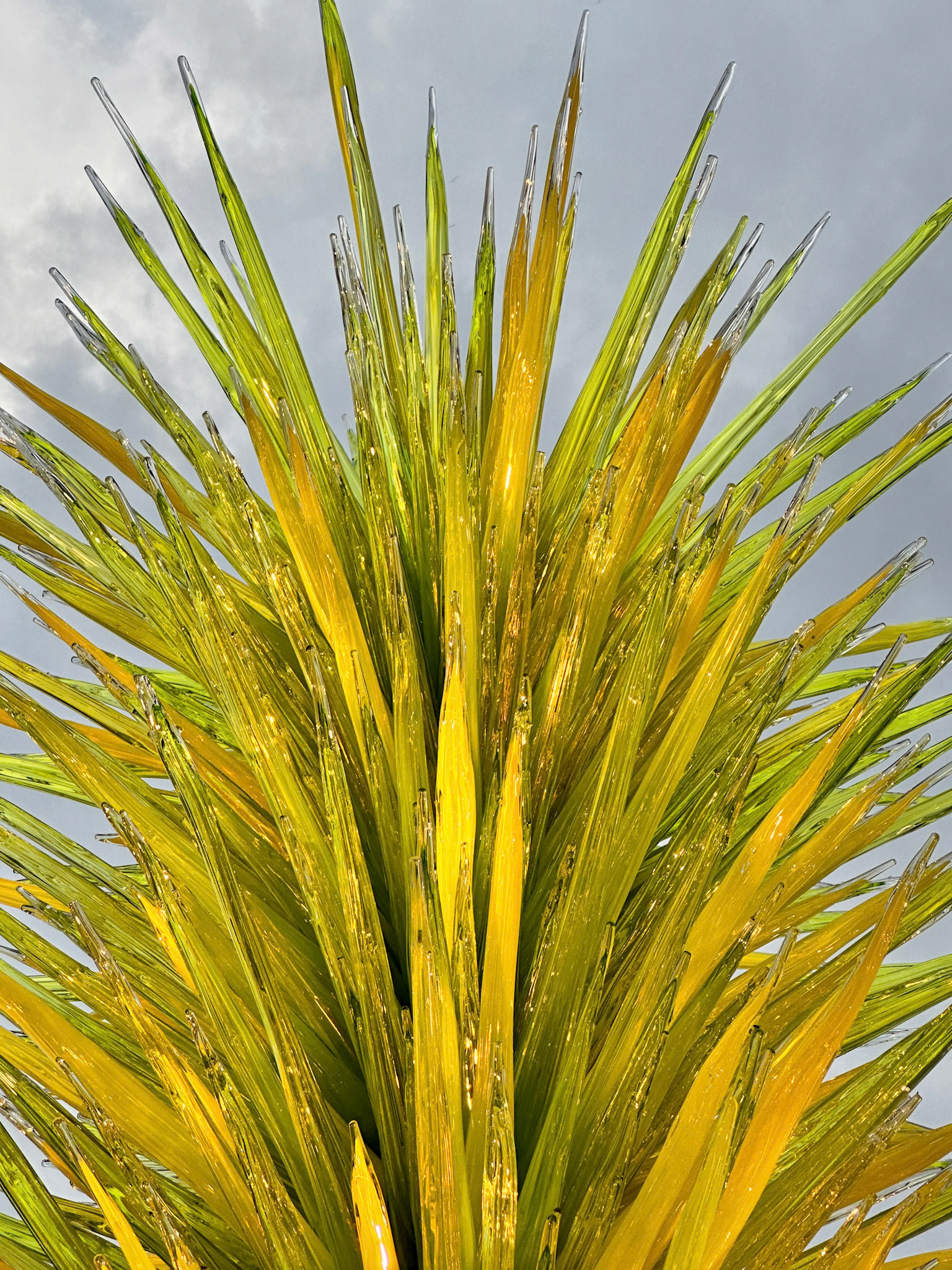 MOBOT Chihuly, 2023