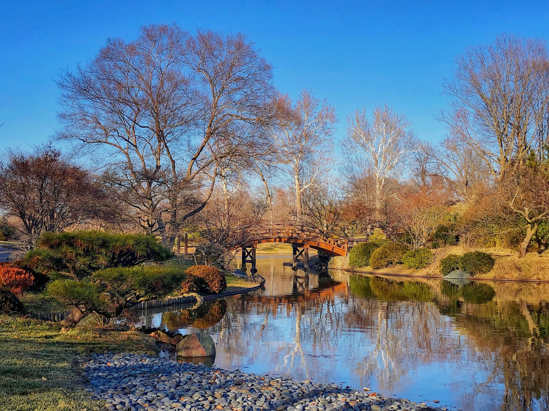 Winter Reflection at MOBOT