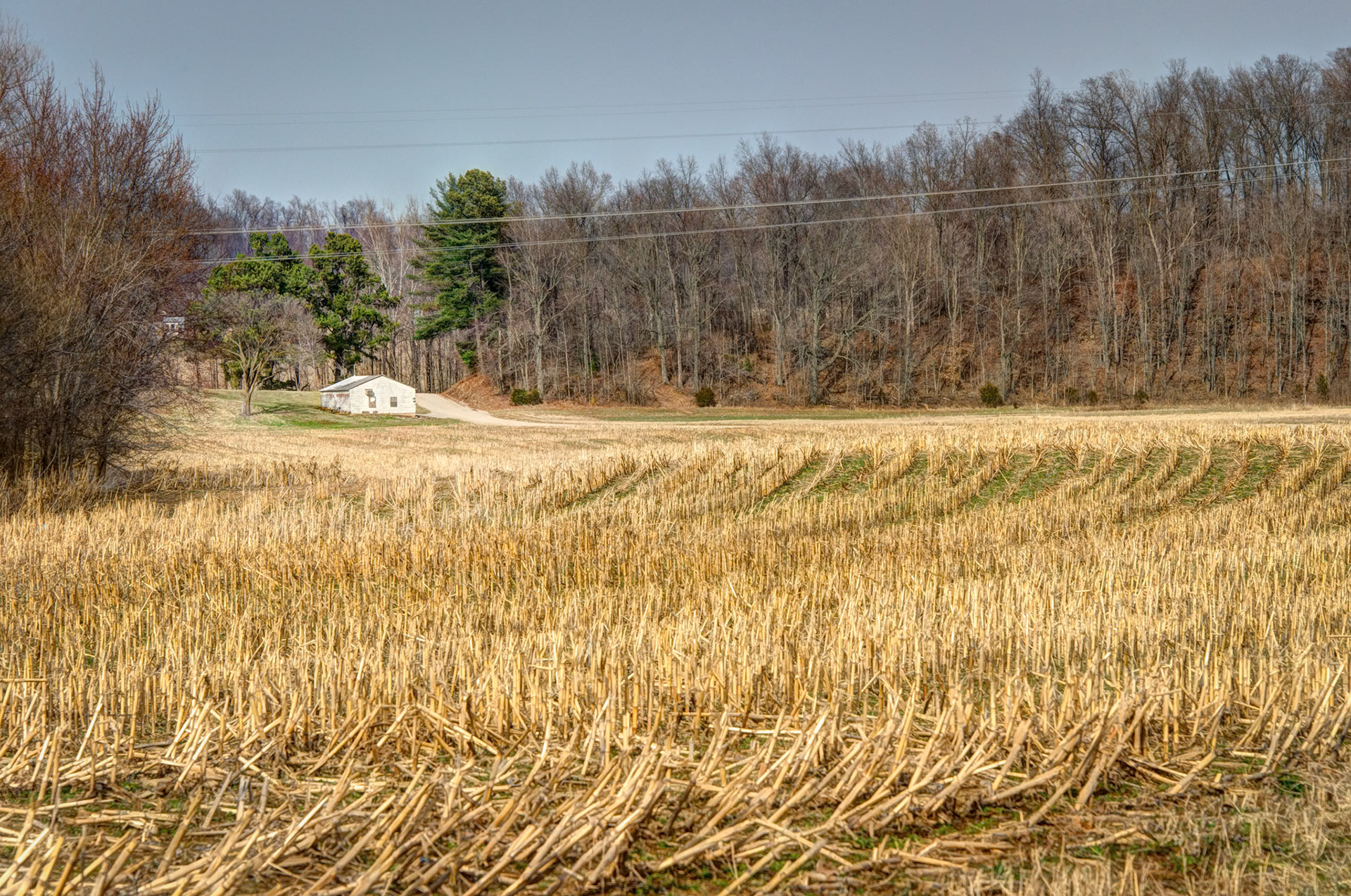 Bollinger Mill State Historic Site; Cape Girardeau County, MO