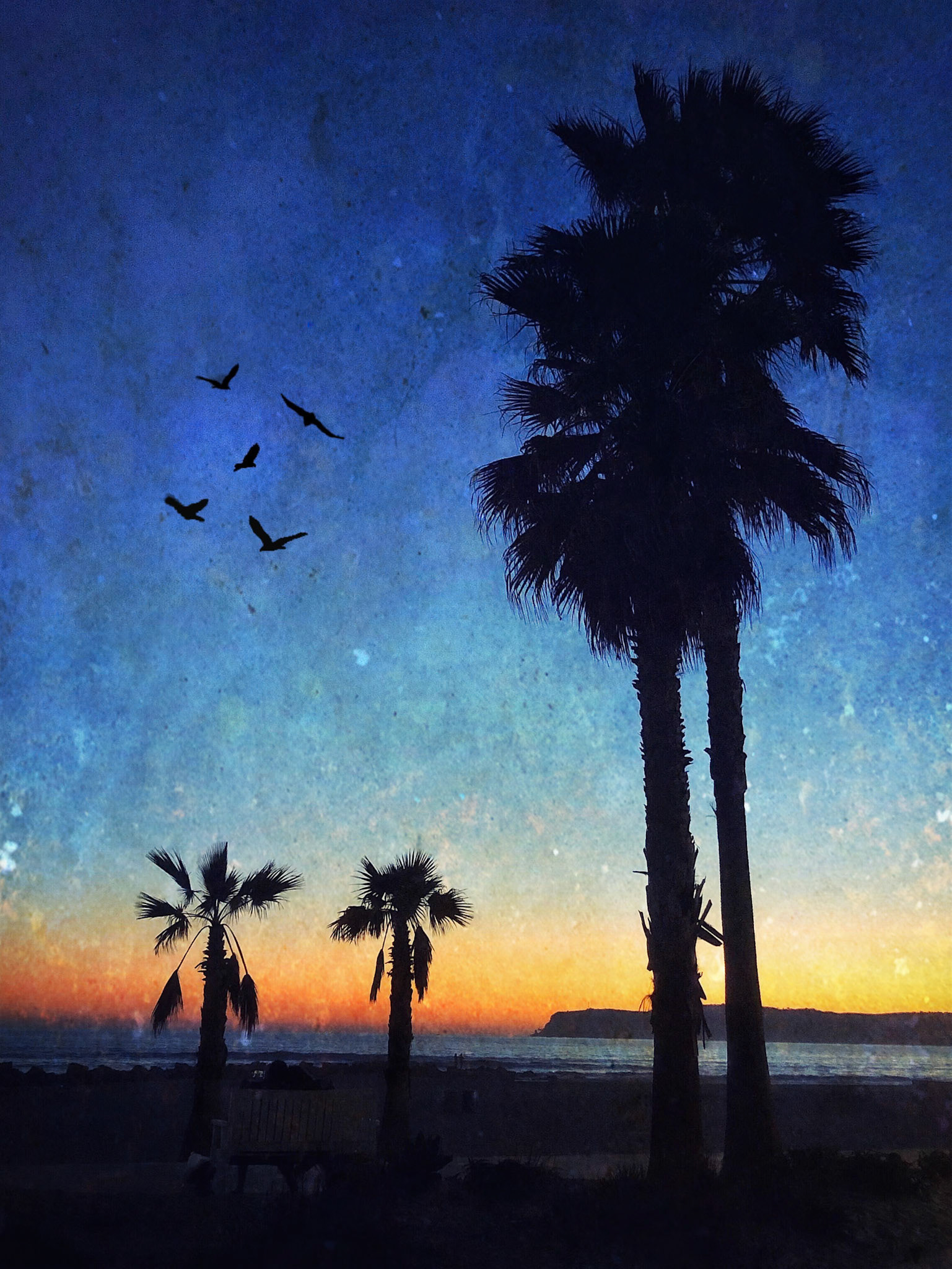 Palm Trees and Birds (Digital Art)
