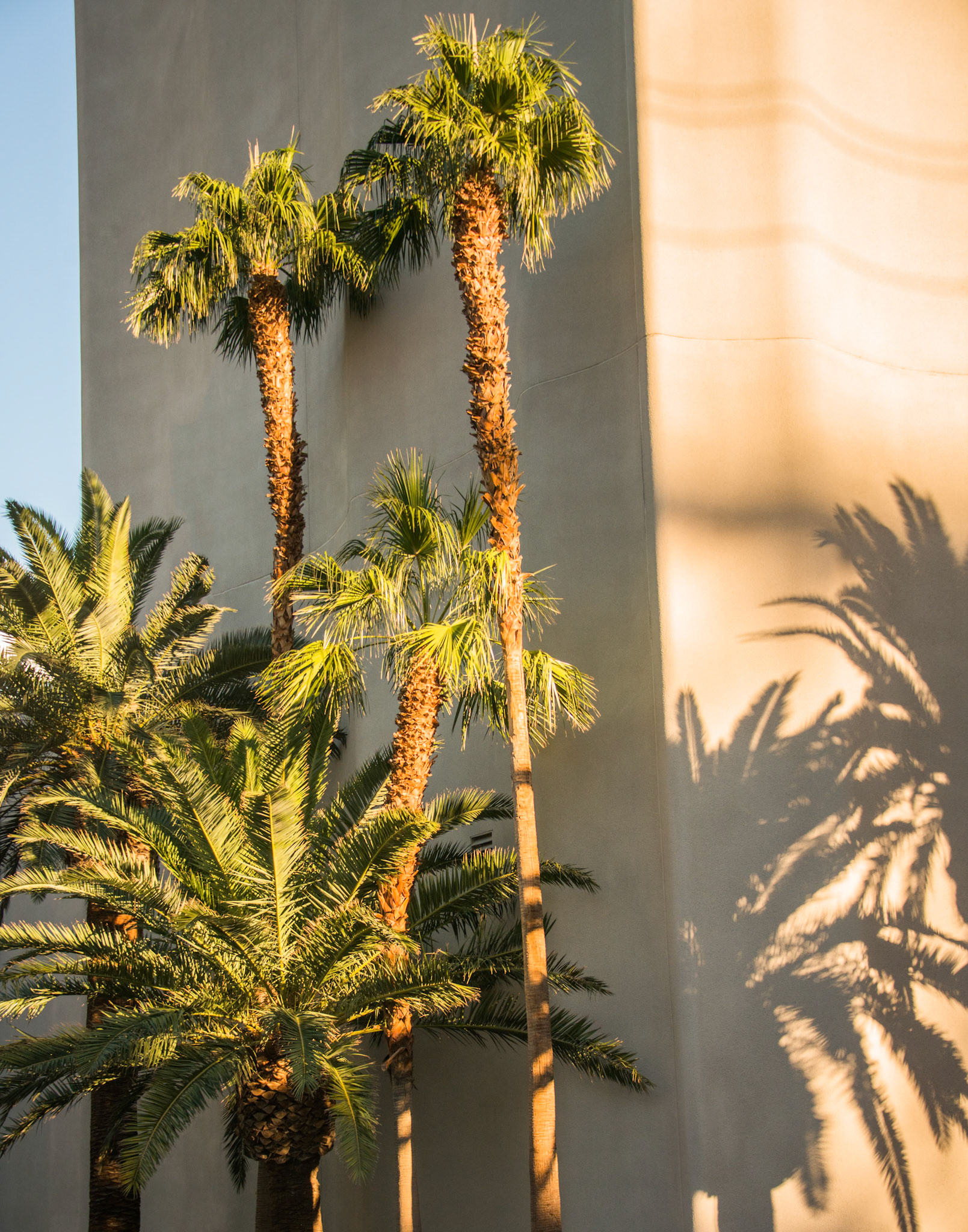 Las Vegas Architecture