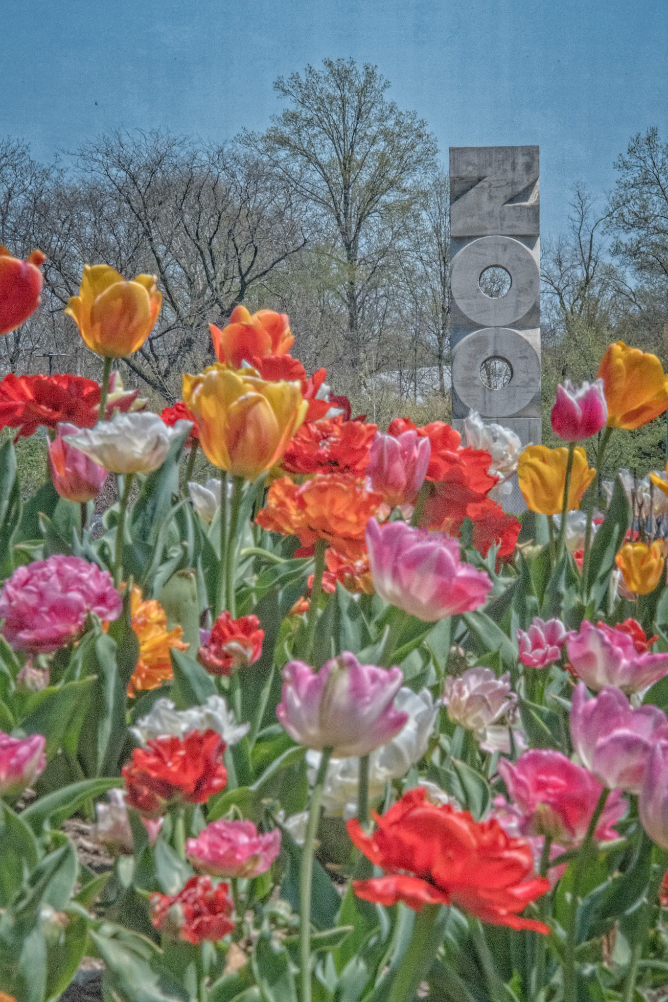 The St. Louis Zoo is frequently named best zoo in the country (St Louis Business Journal and Conde Nast Traveler.) Entrance is free, as with so many of our Forest Park attractions. Families looking for a fun and affordable vacation will definitely find it in St. Louis.