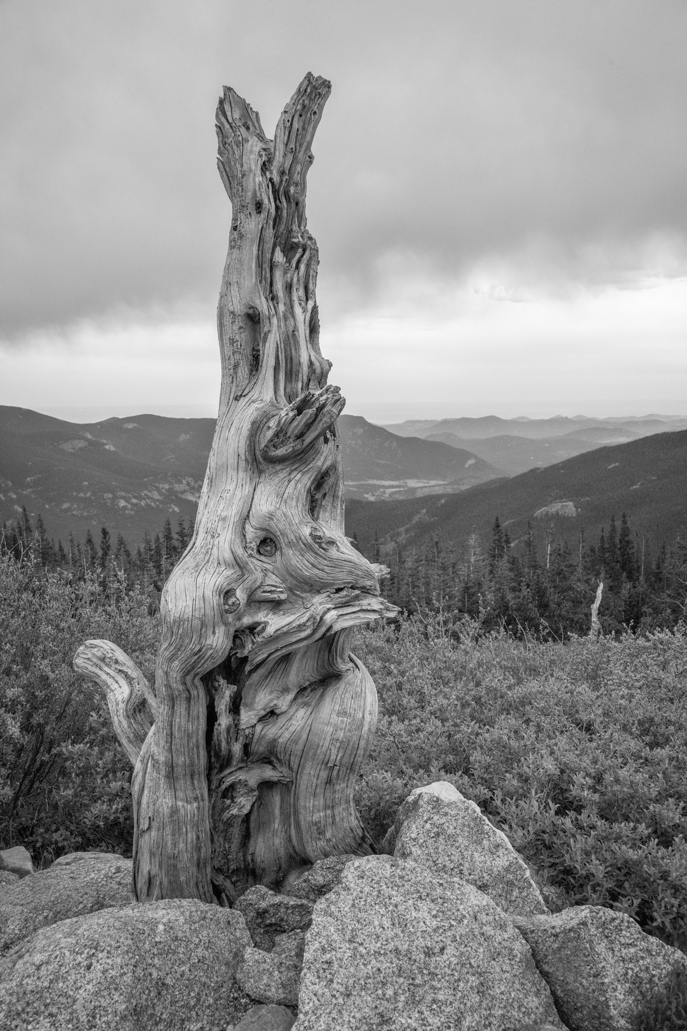 Mount Evans
