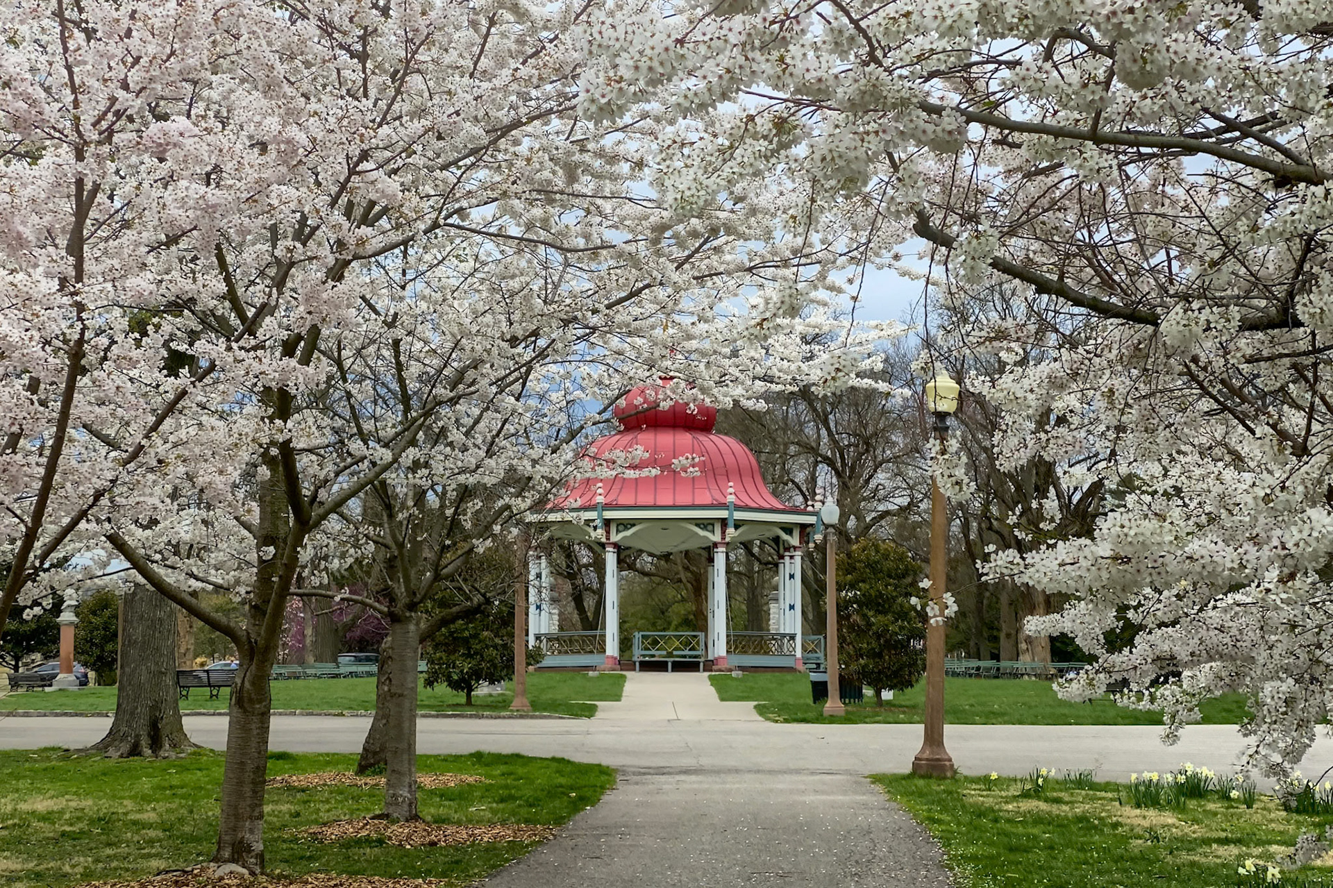 Tower Grove Park