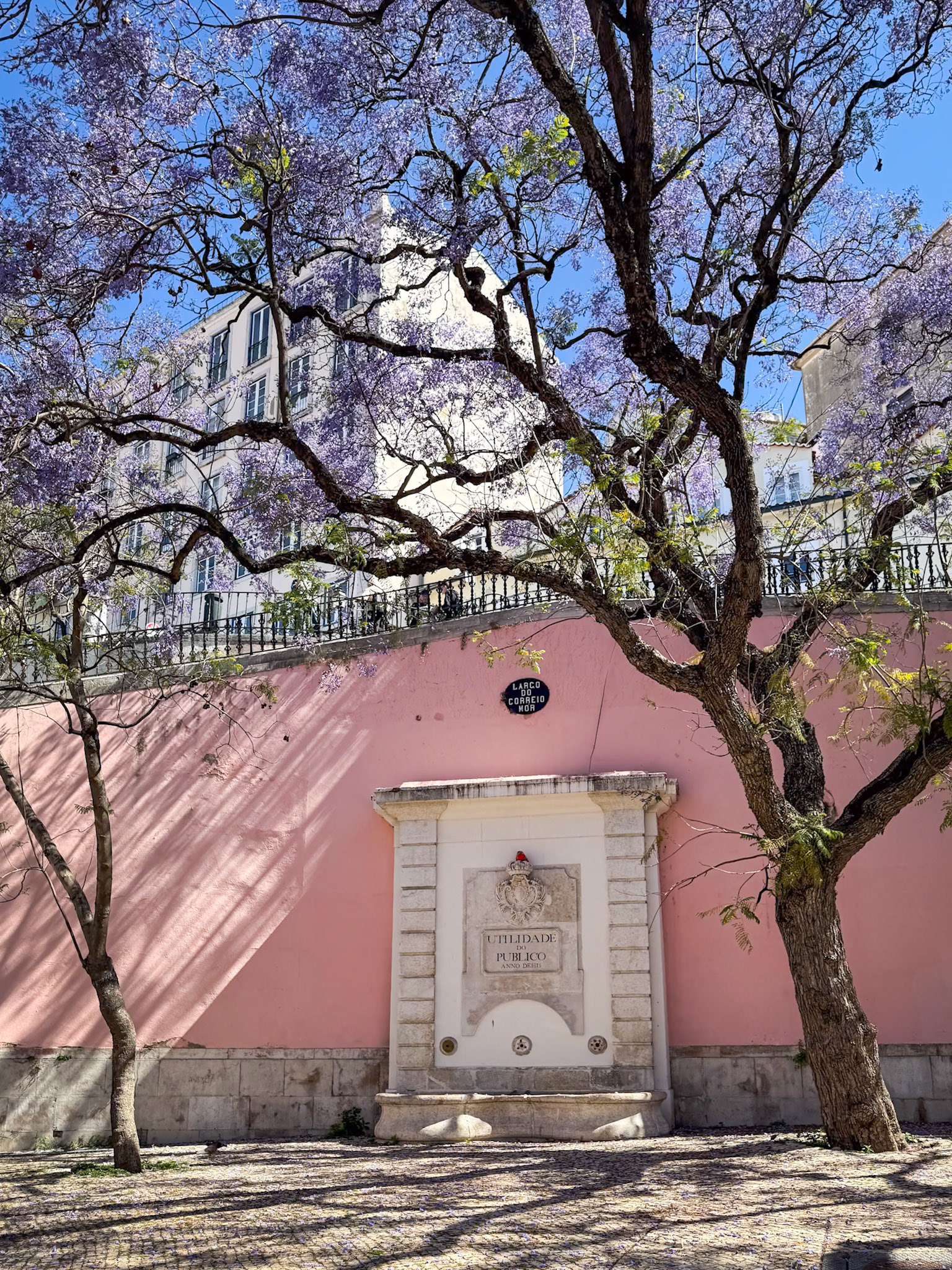 Lisboa Street Scene