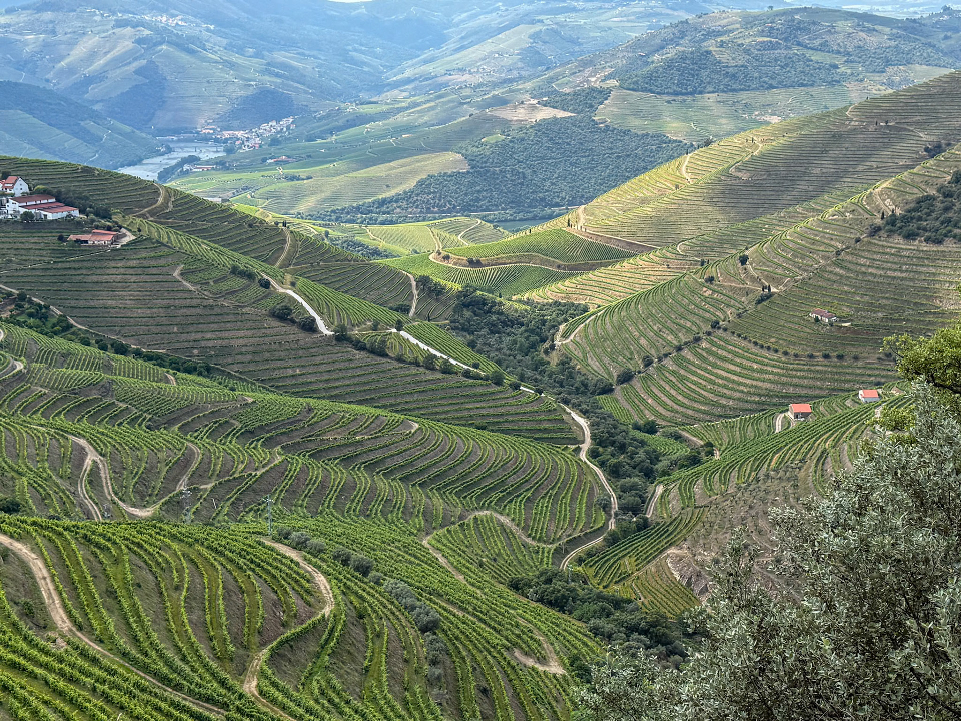 Douro Valley, traveling by land