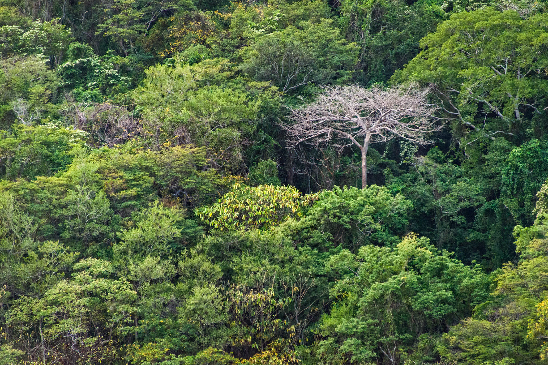 Arenal Volcano Area