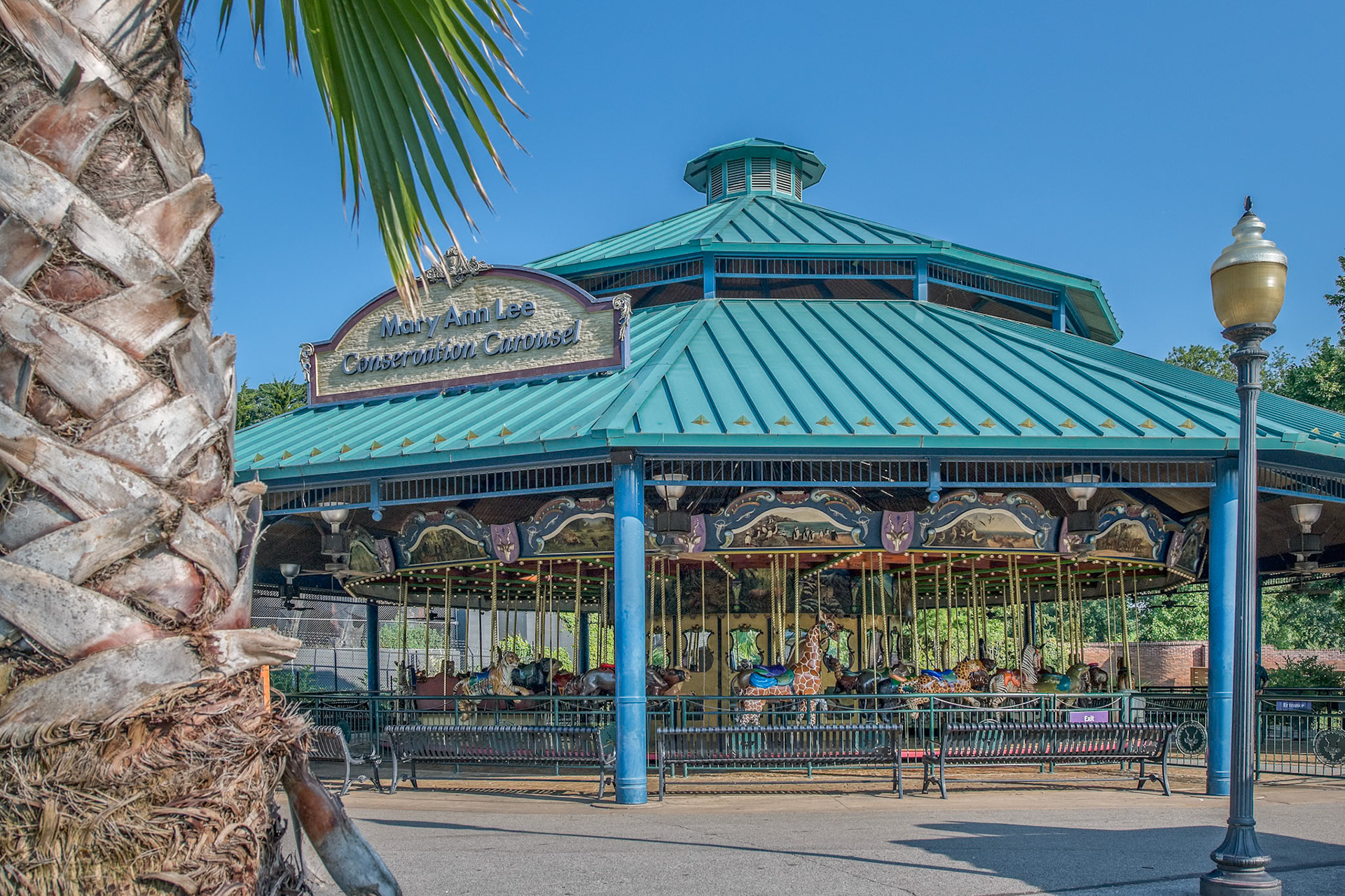 The Conservation Carousel at the St Louis Zoo includes hand-carved wooden animal sculptures, representing protected and endangered species.