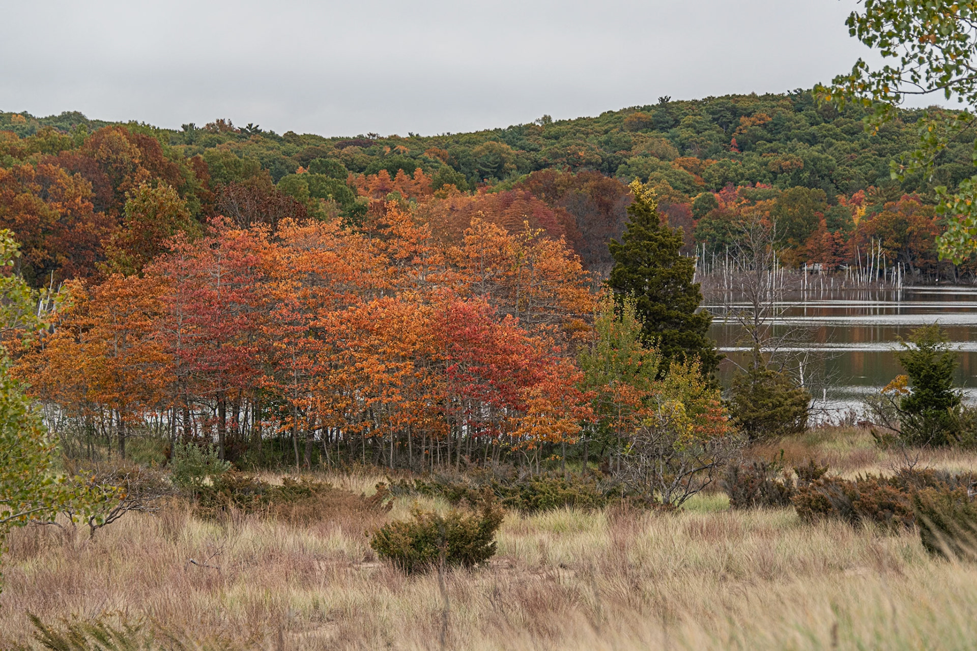 Saugatuck, Michigan #1564