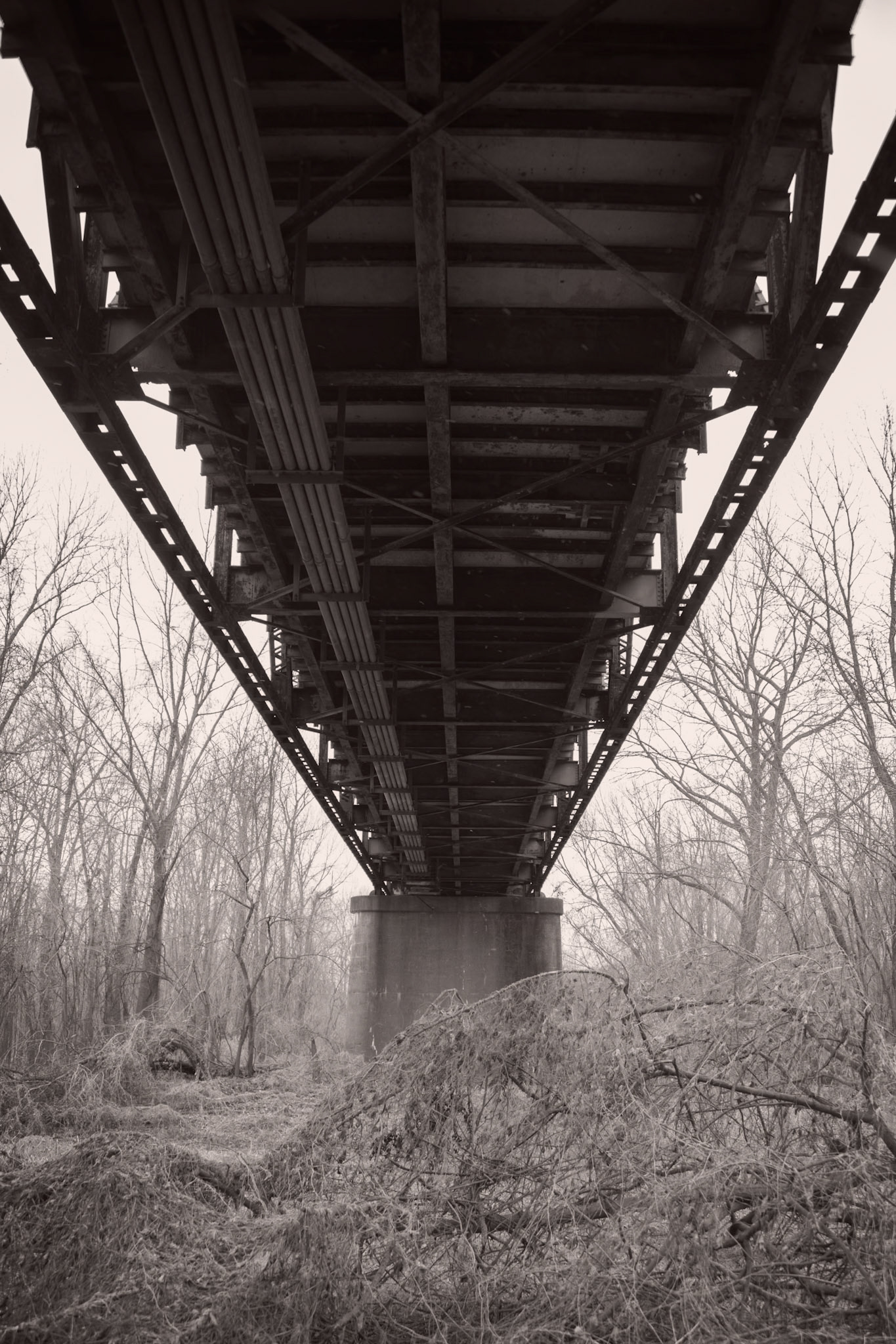 Winter Beneath the Chain of Rocks Bridge; Madison, IL