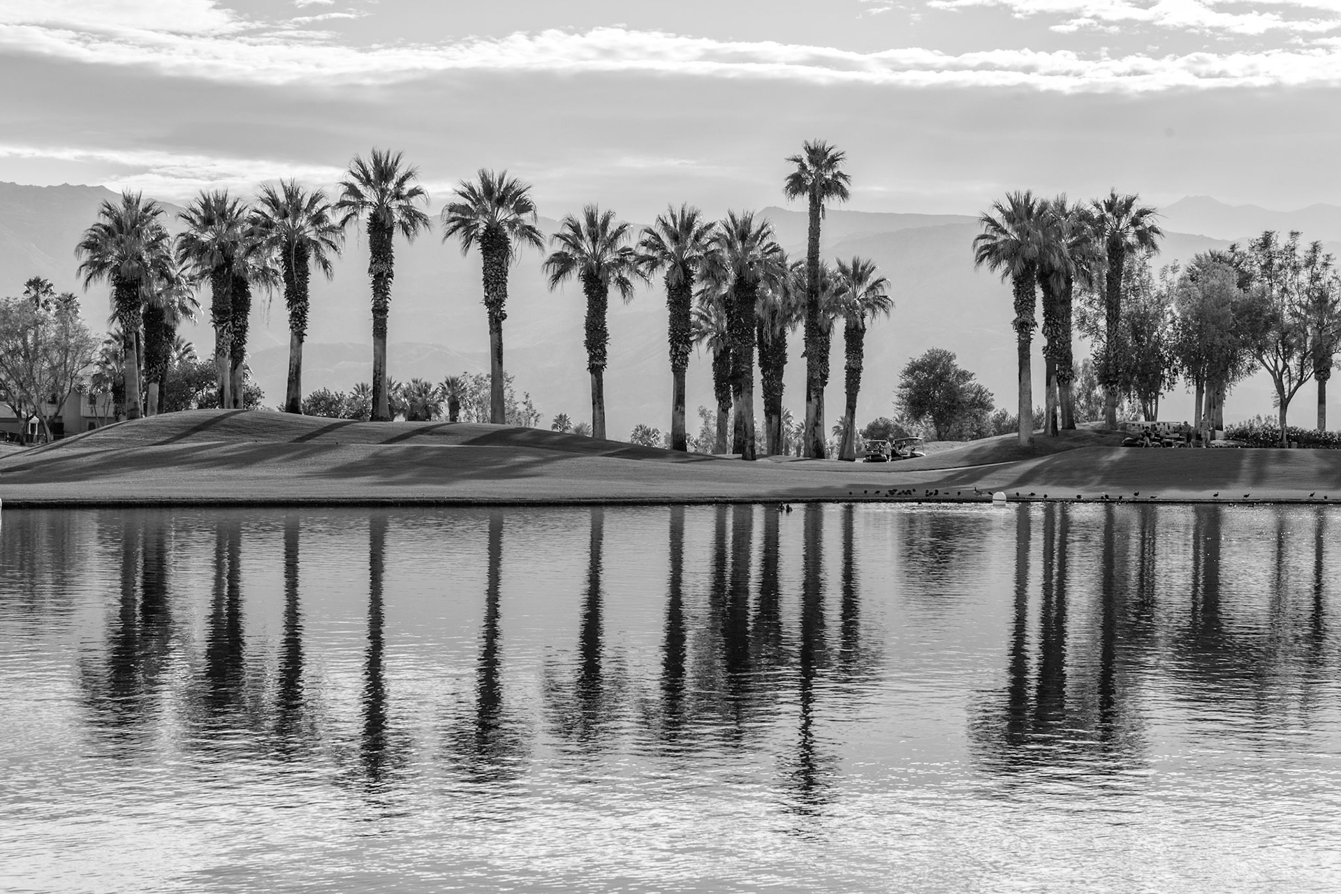 Palm Springs