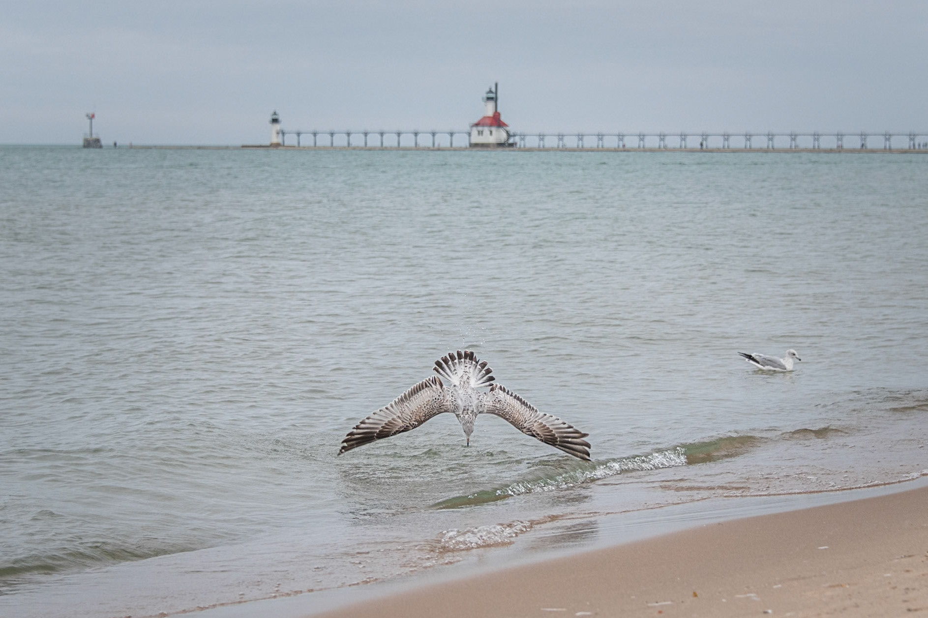 St Joseph, Michigan #1308