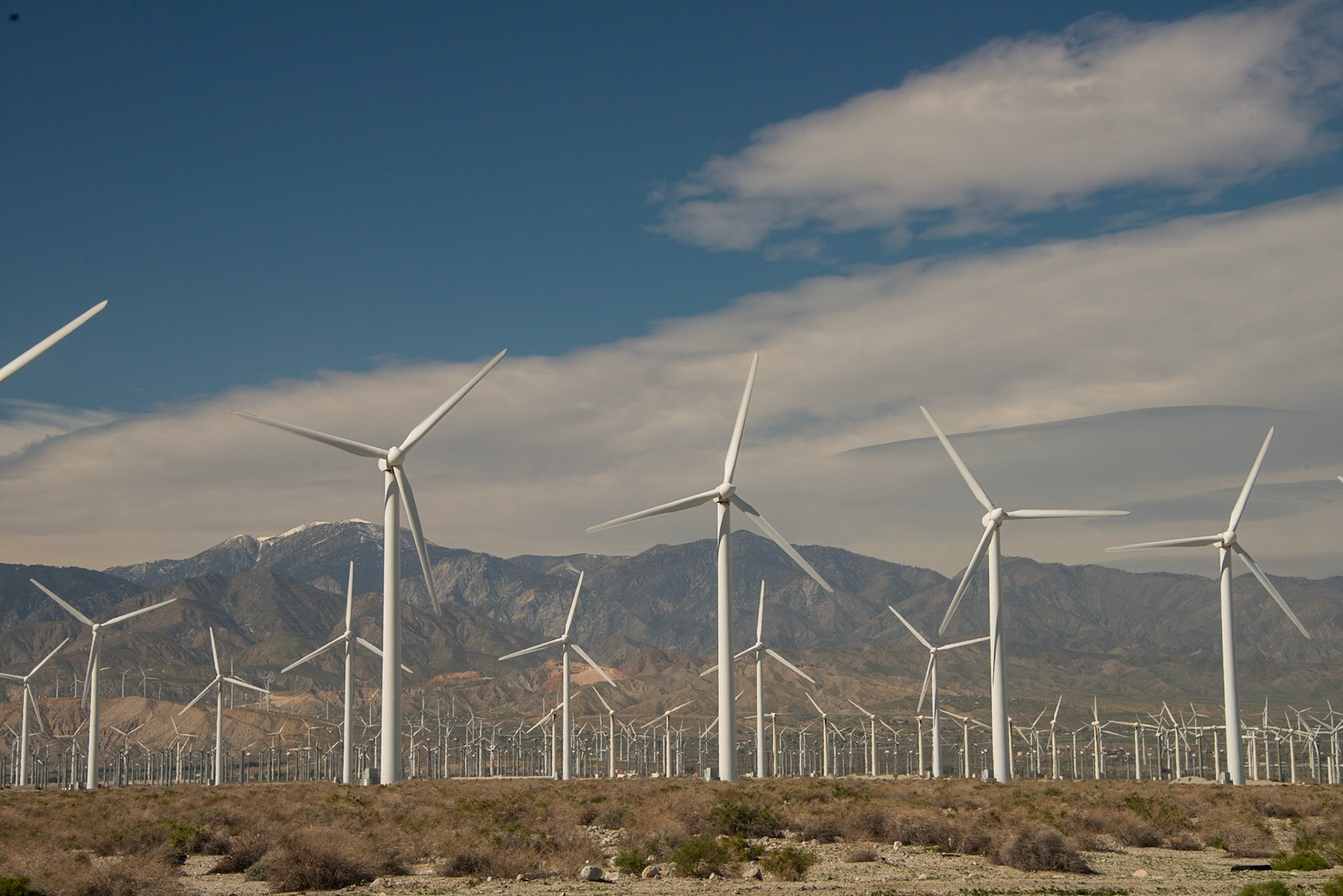 Palm Springs