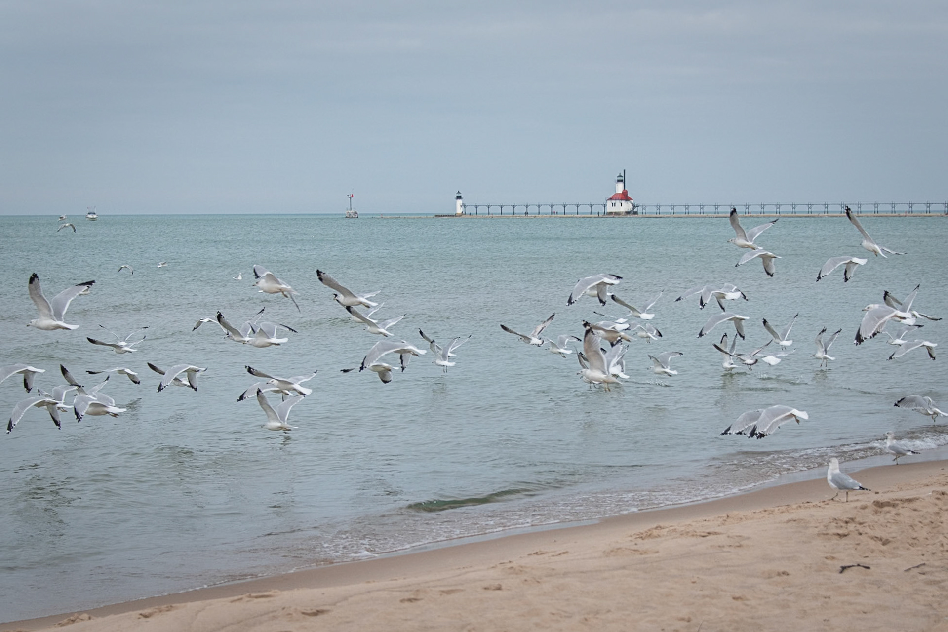 St Joseph, Michigan #1203