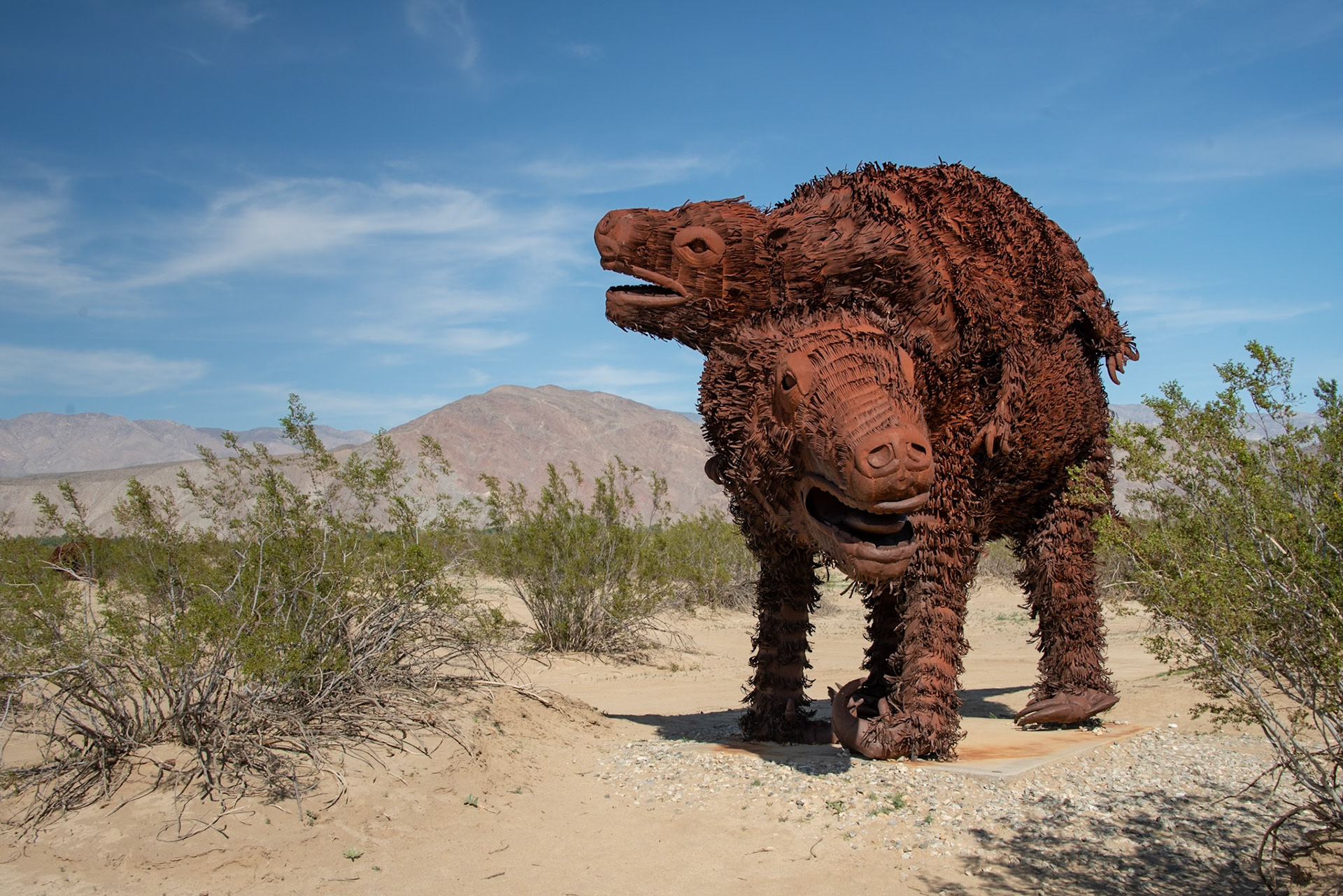 Anza-Borrego Desert State Park