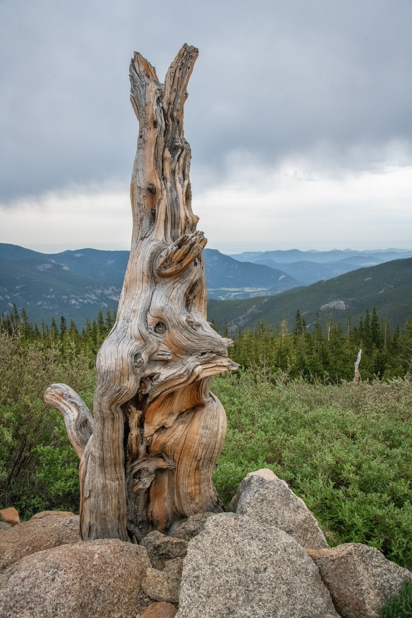 Mount Evans