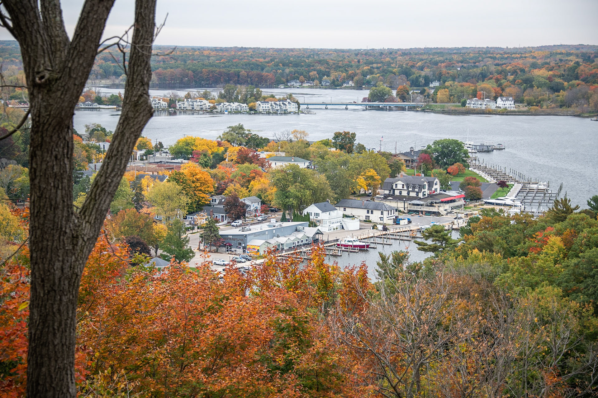 Saugatuck, Michigan #1477