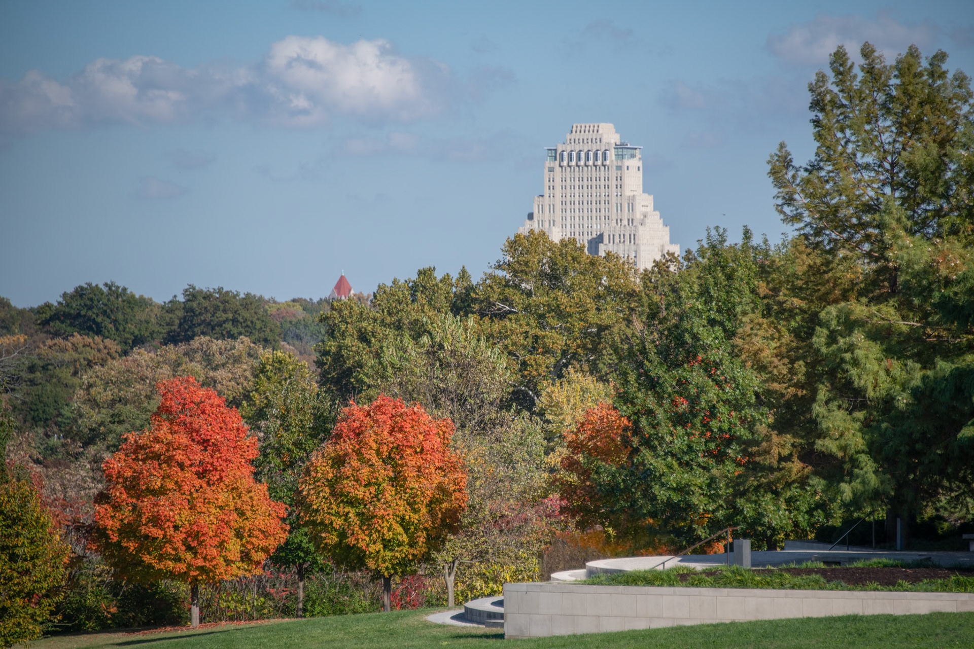 Fall in Forest Park