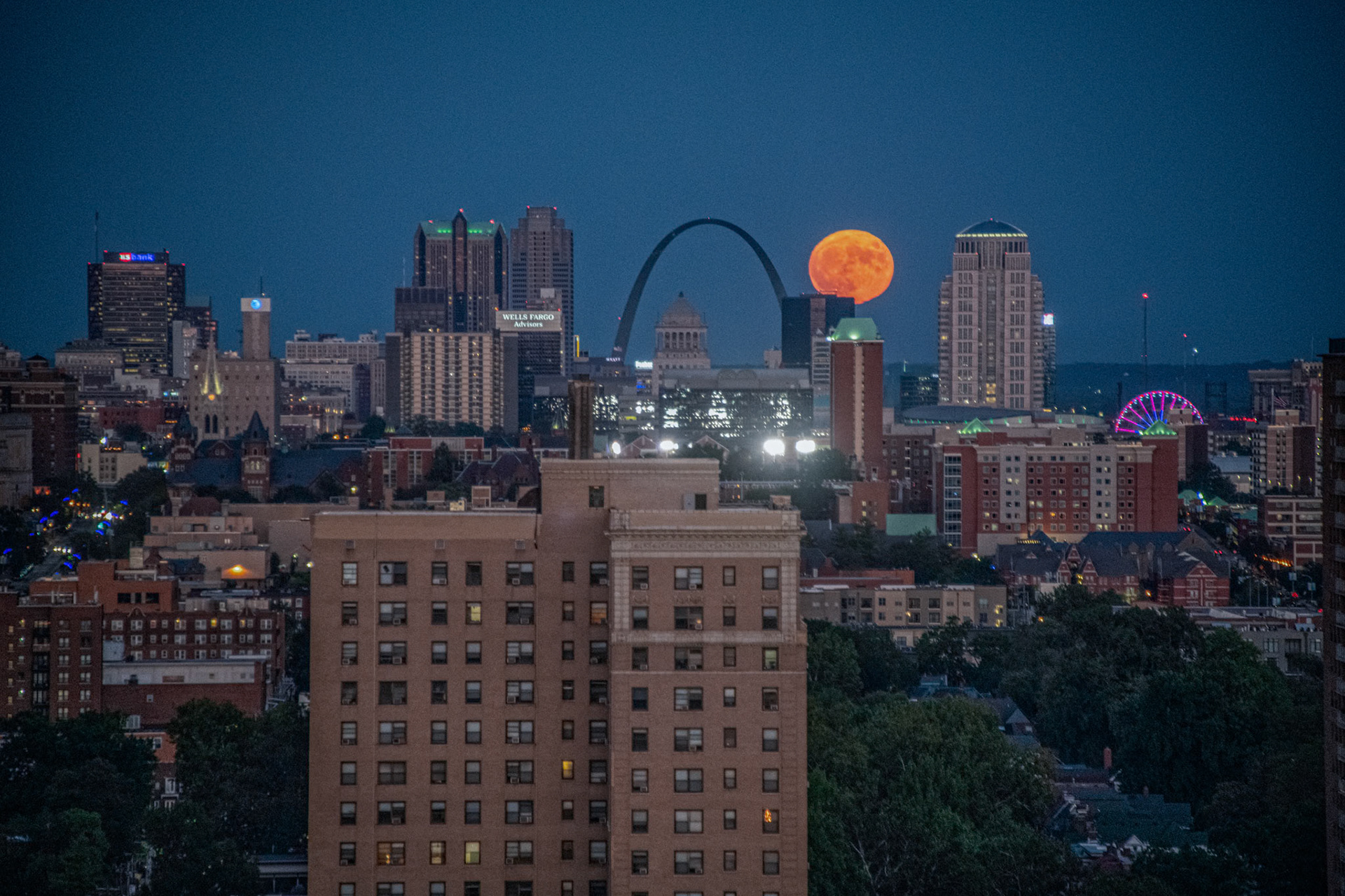 STL Skyline Favorite