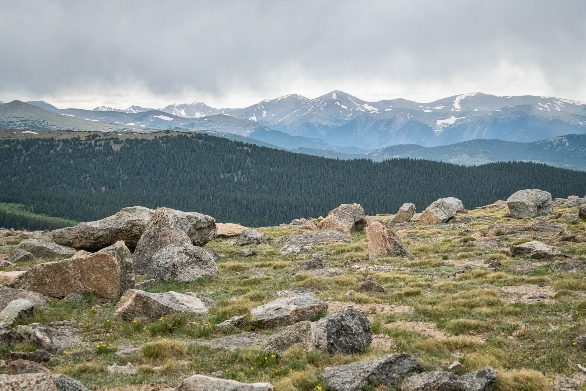 Mount Evans