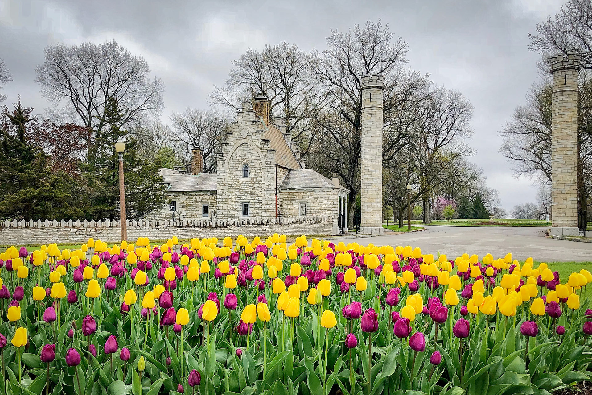 Tower Grove Park