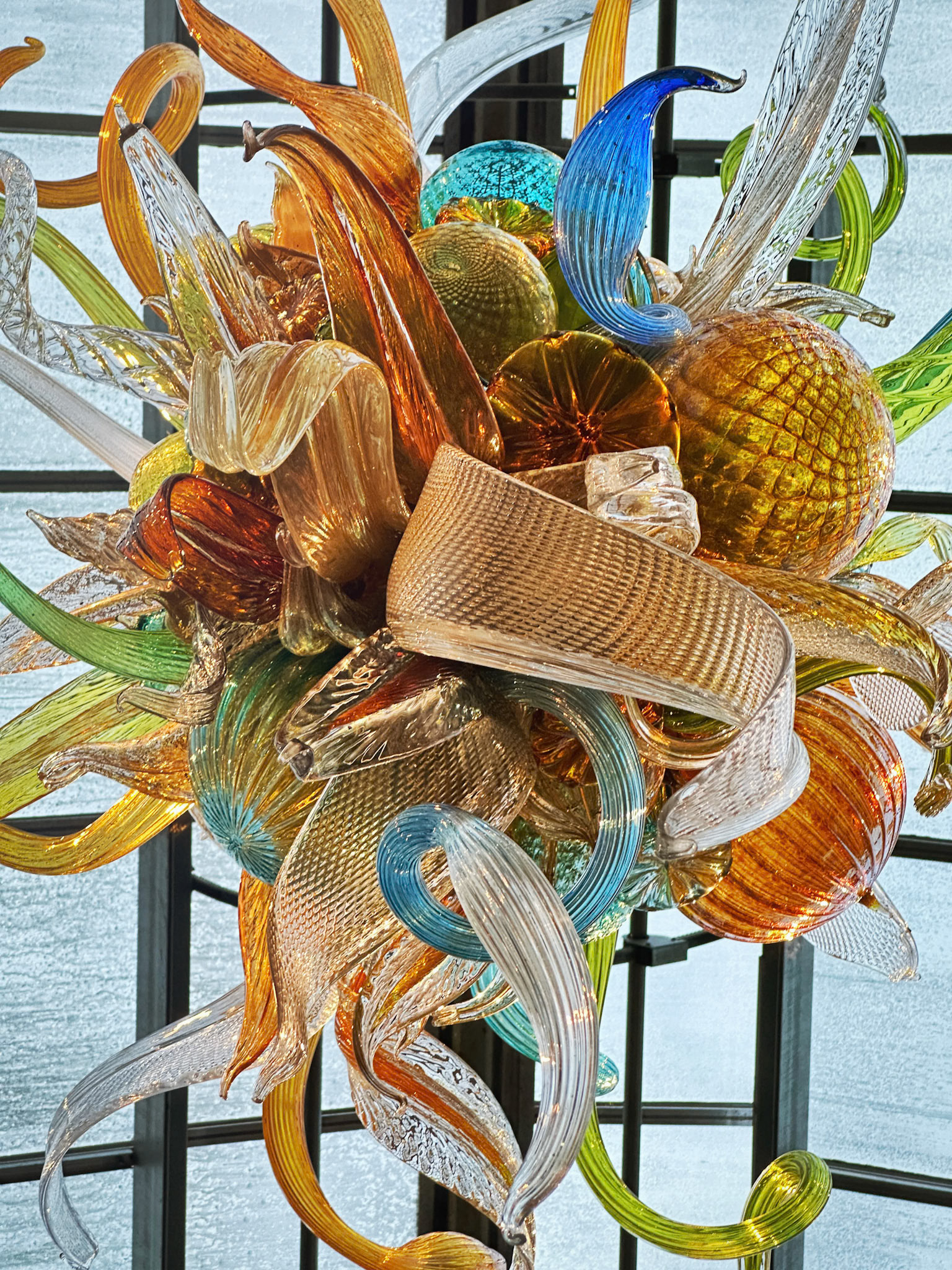 MOBOT Chihuly, 2023