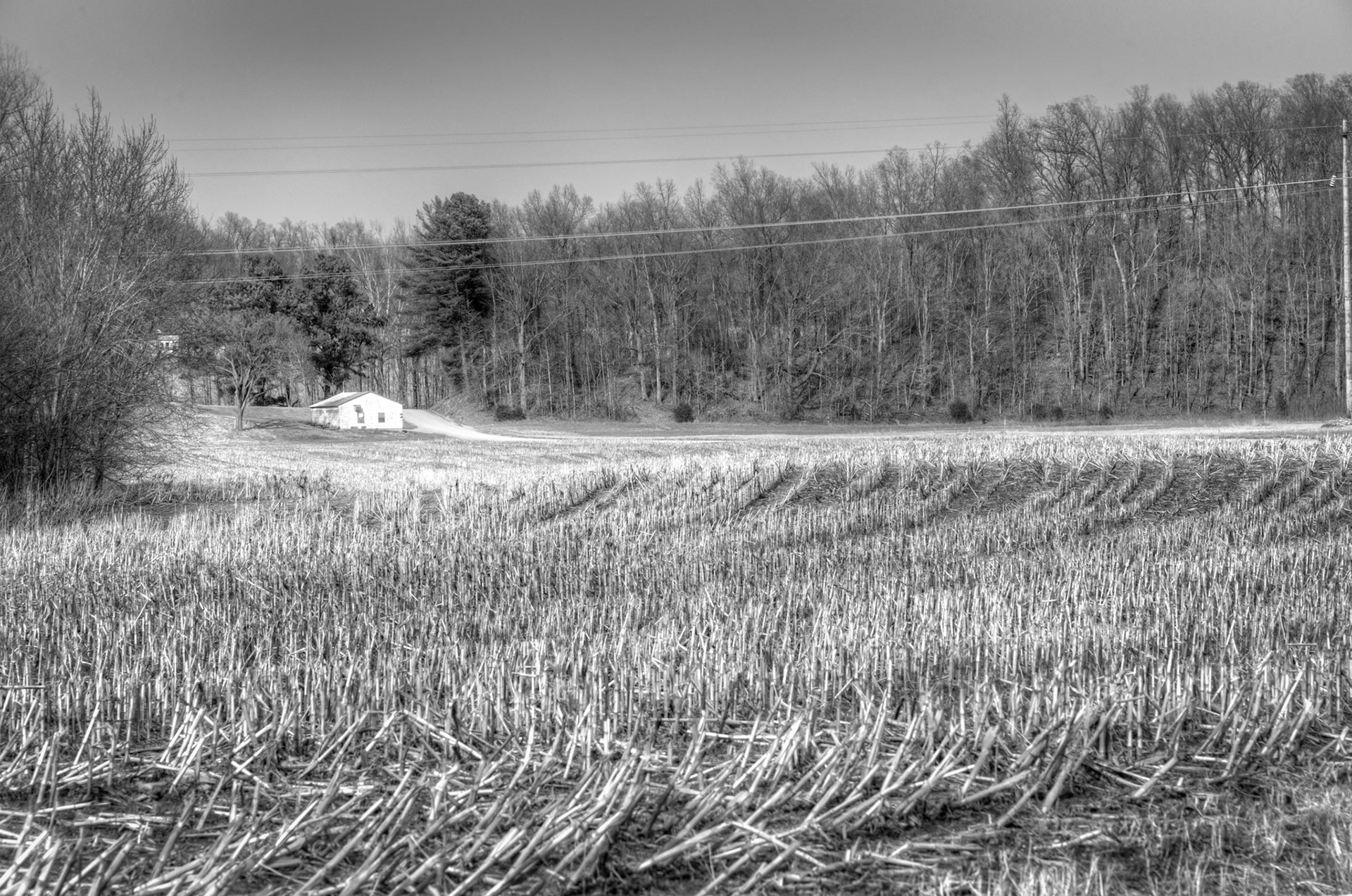 Bollinger Mill State Historic Site; Cape Girardeau County, MO