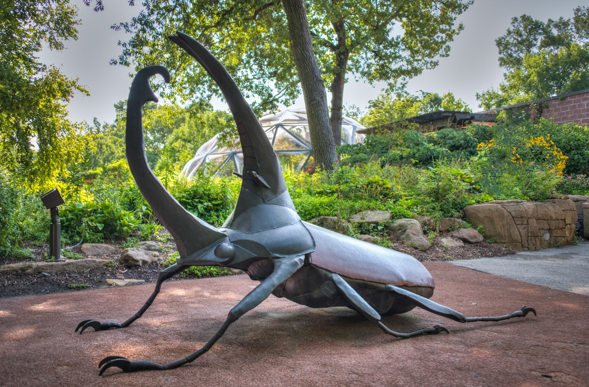 St Louis Zoo - Insectarium