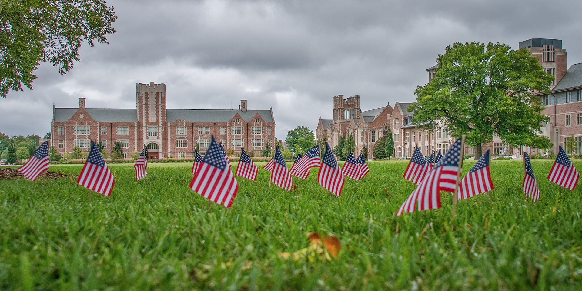Washington University in St Louis
