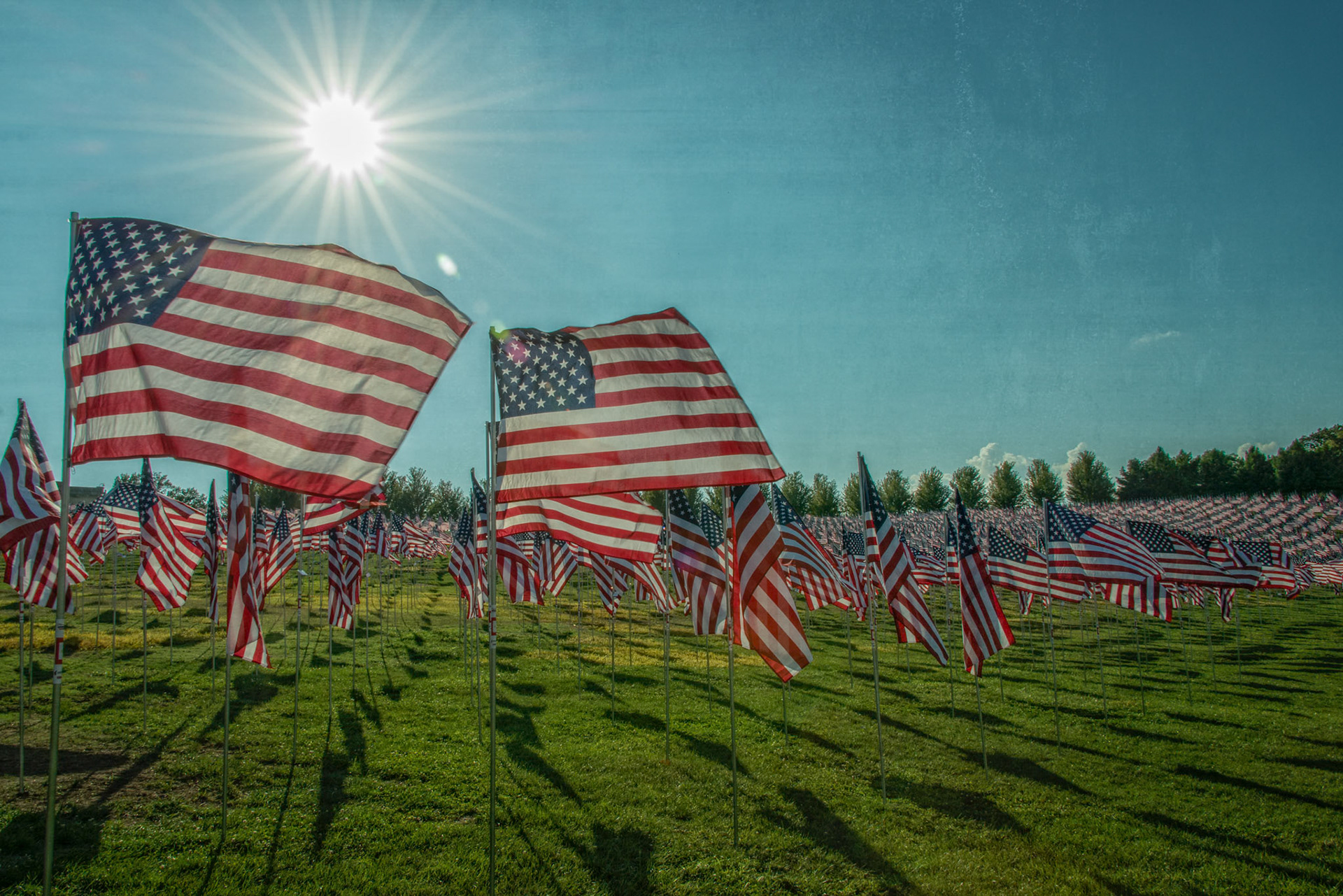 Flags of Valor on Art Hill