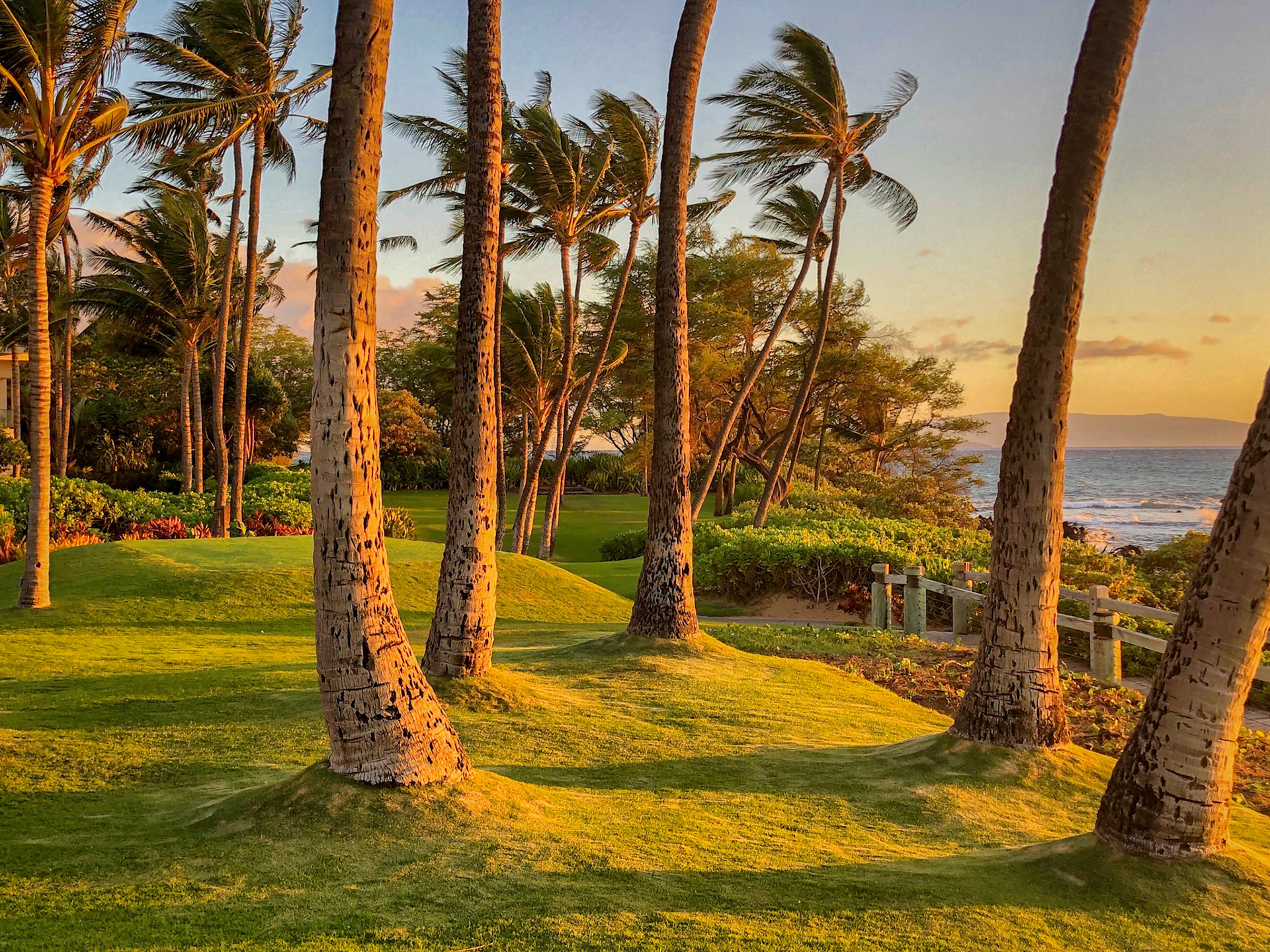 Maui Golden Hour