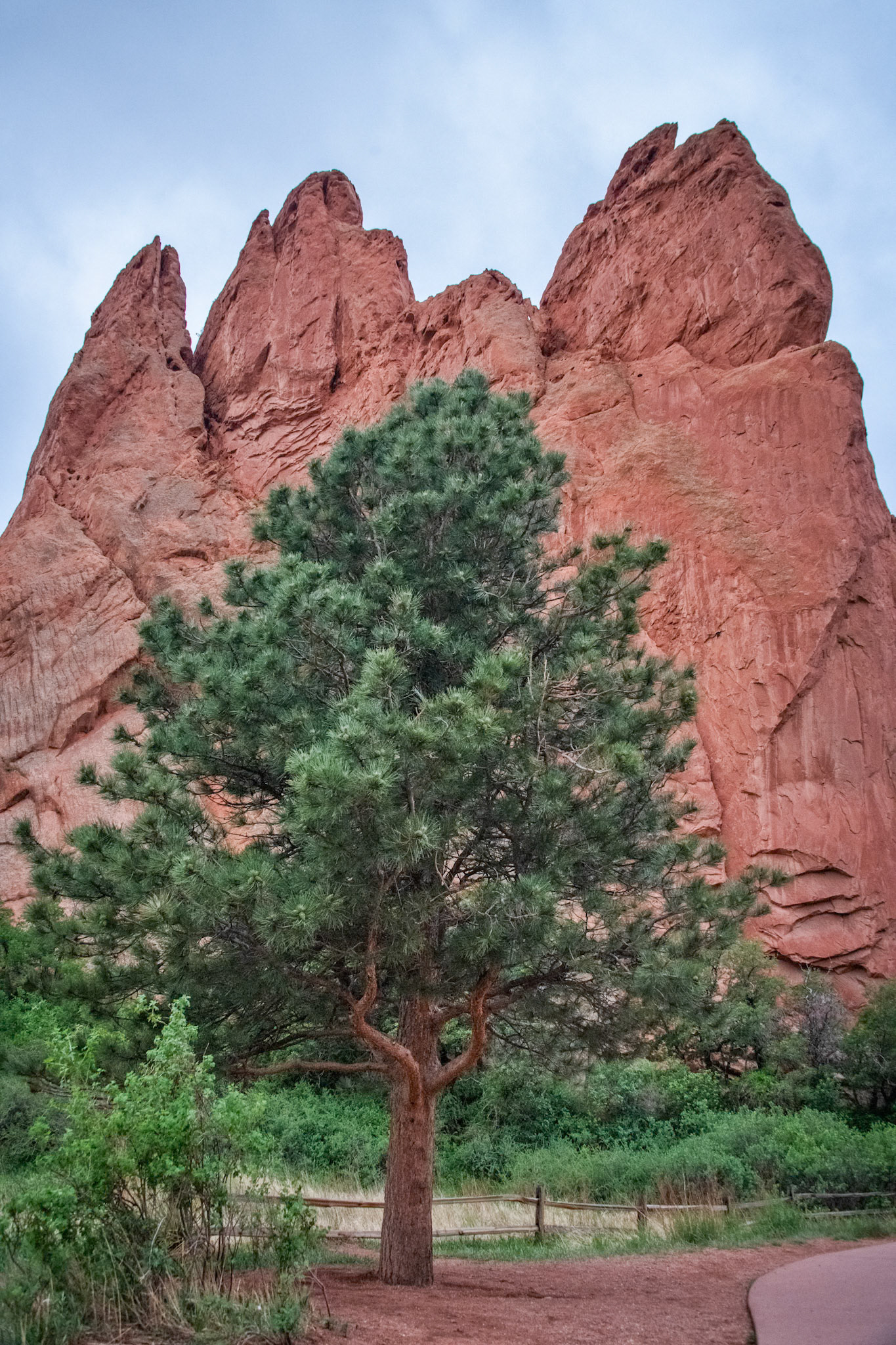 Garden of the Gods