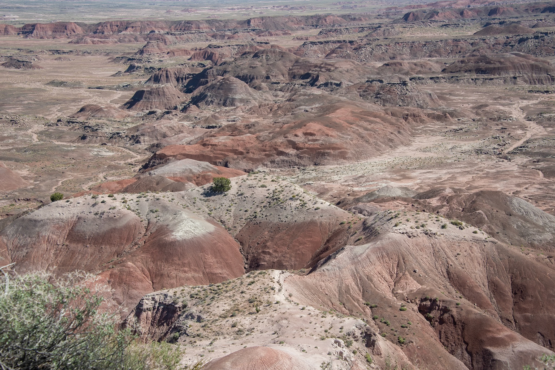 Painted Desert