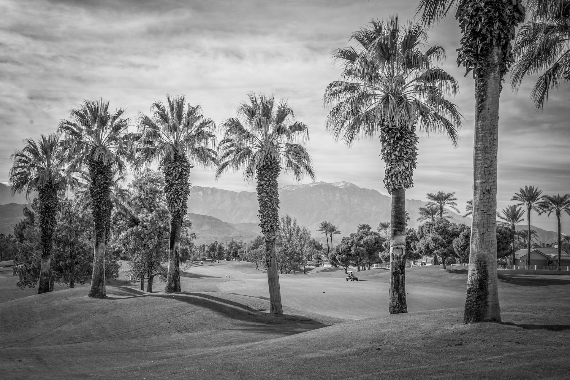 The Golf Course in black and white