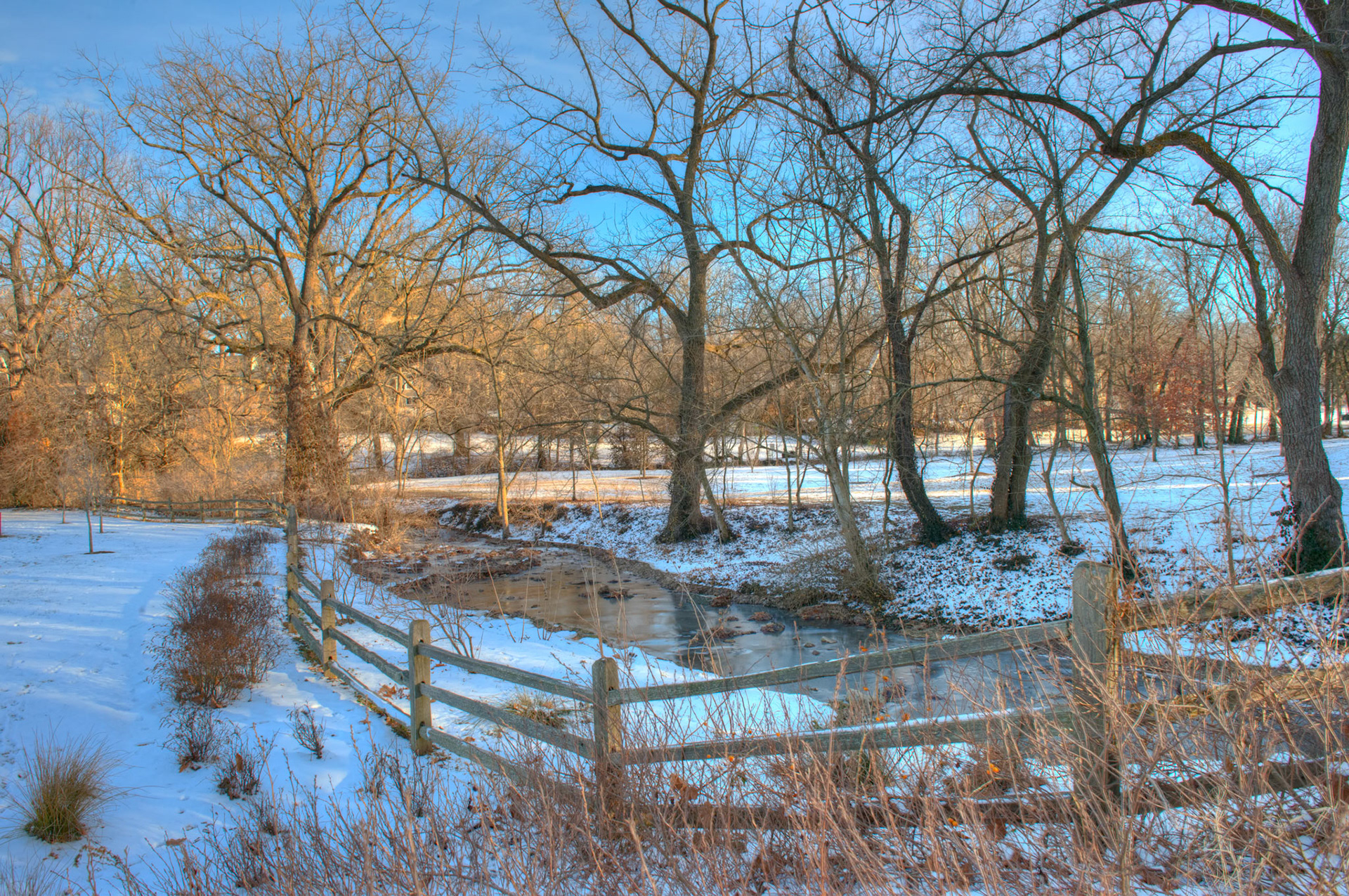 Wintertime in the Park