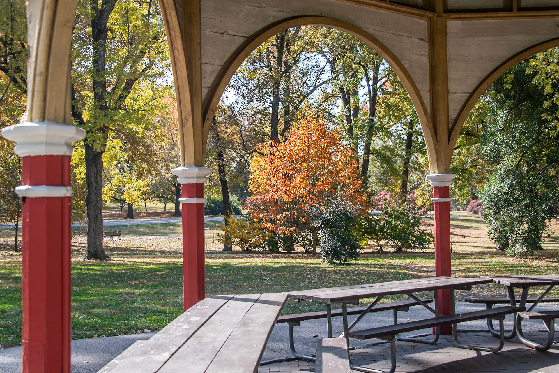 Tower Grove Park