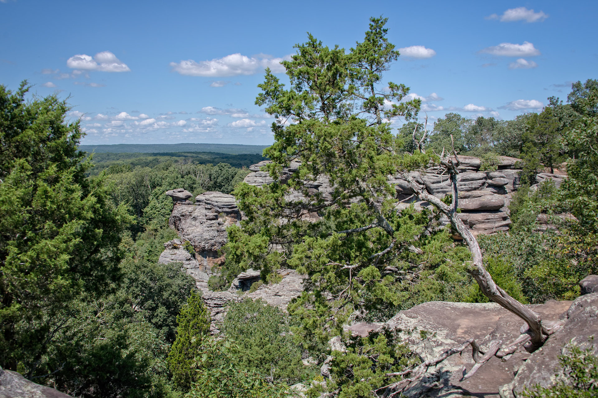 Garden of the Gods, Shawnee National Forest