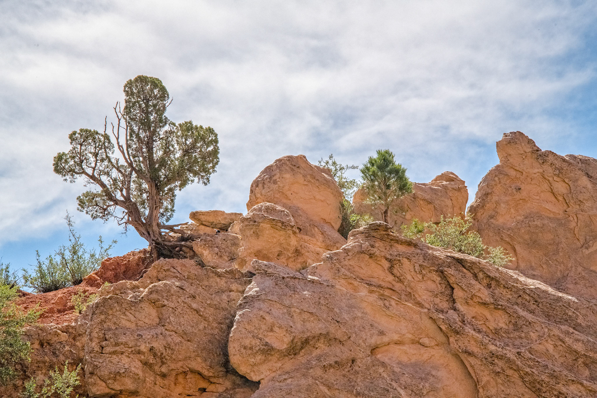 Garden of the Gods