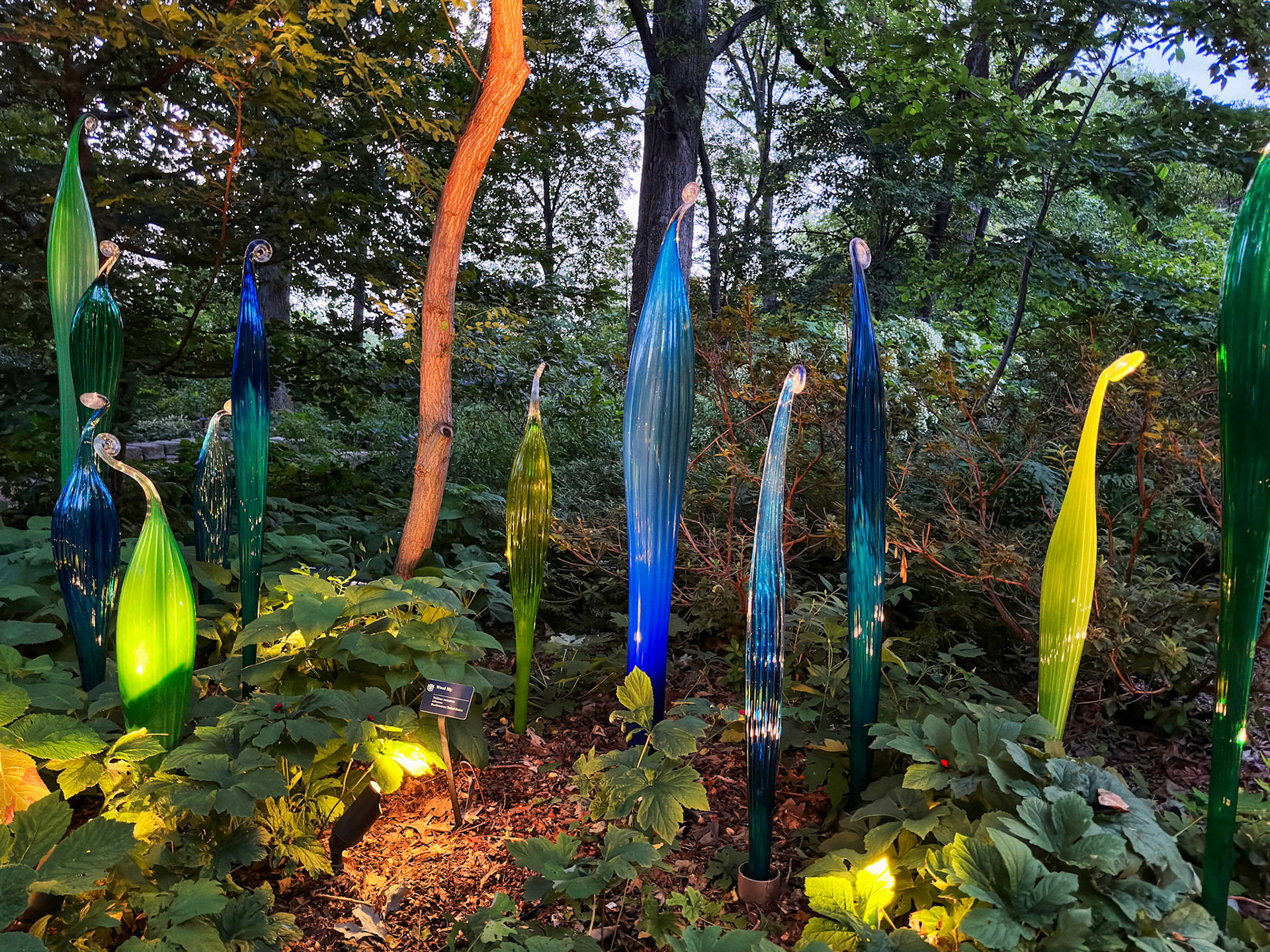 MOBOT Chihuly, 2023