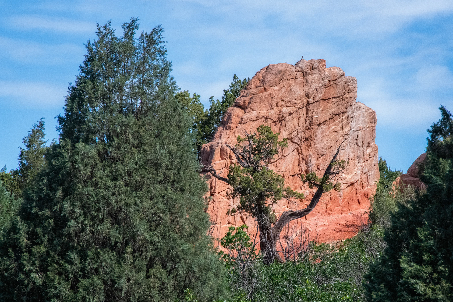 Garden of the Gods