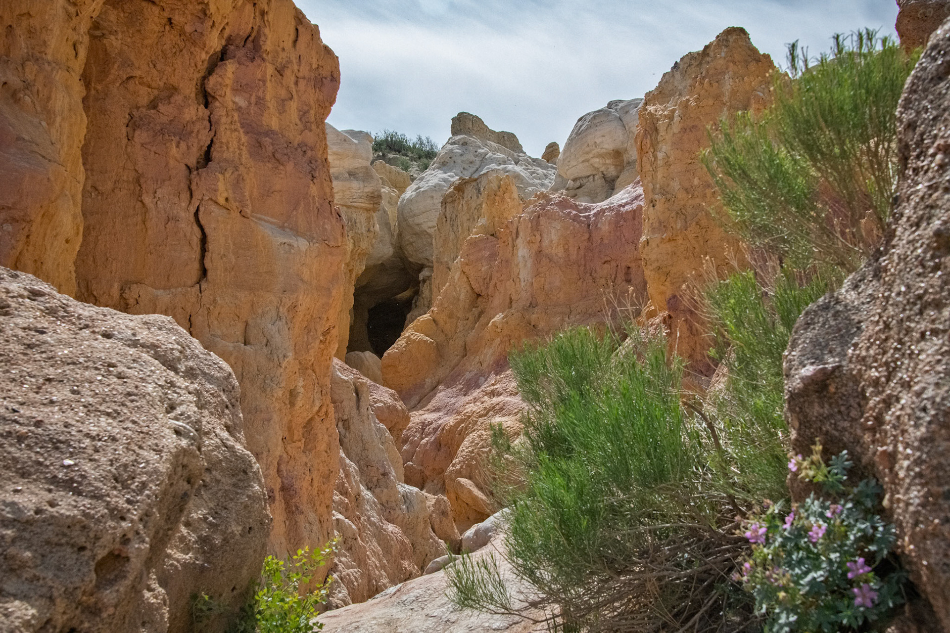 Paint Mines Interpretive Park