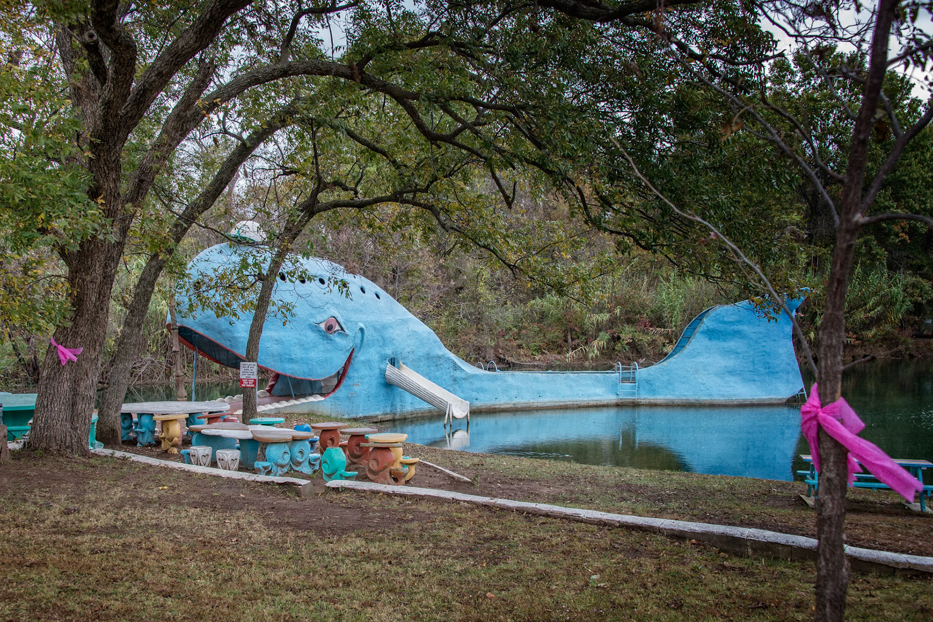 Catoosa, OK is home to the historic "Blue Whale", residing in a former swimming hole. The renovated park no longer allows swimming, but is a pleasant spot for a picnic!
